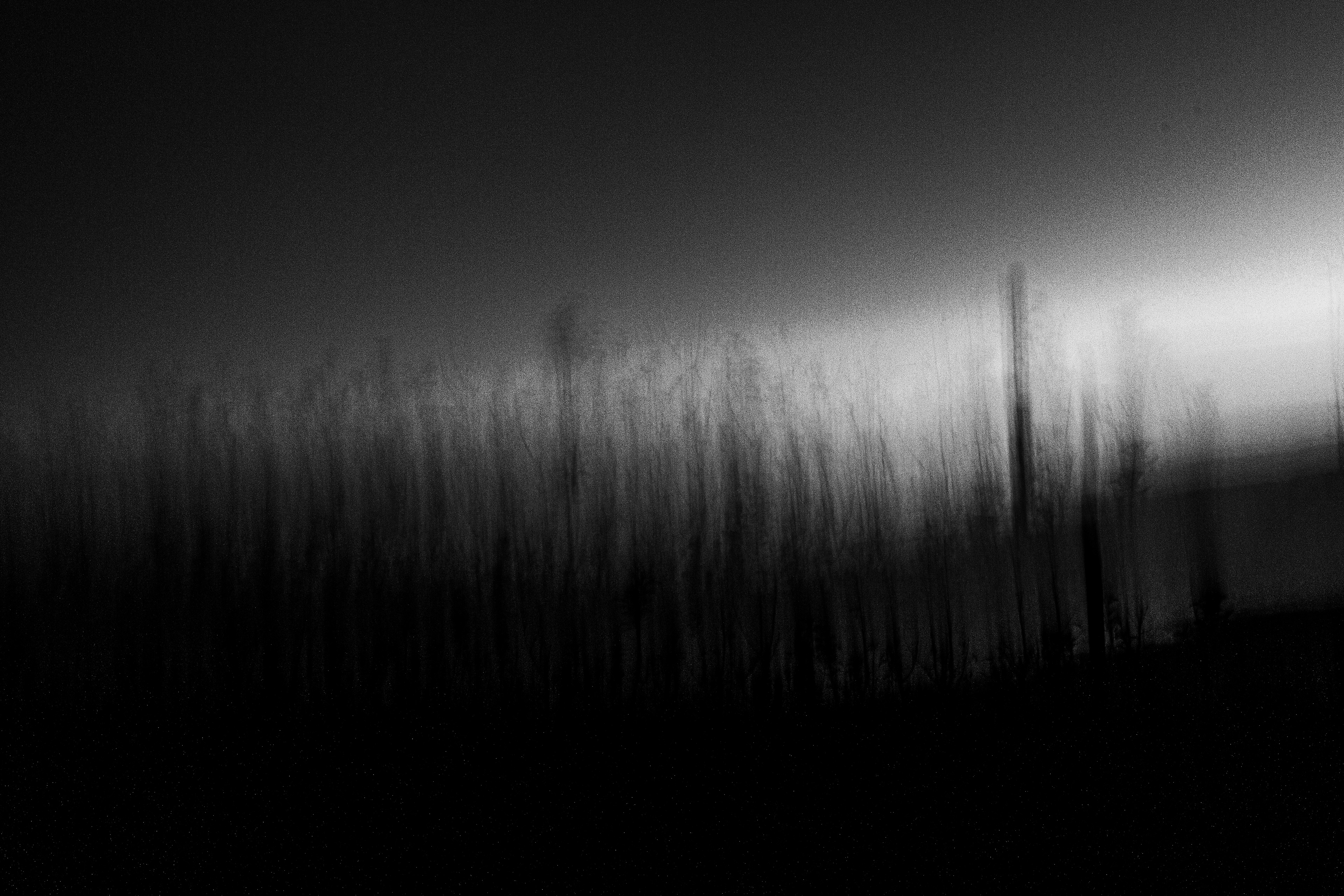 Foto per Joan Cabotti