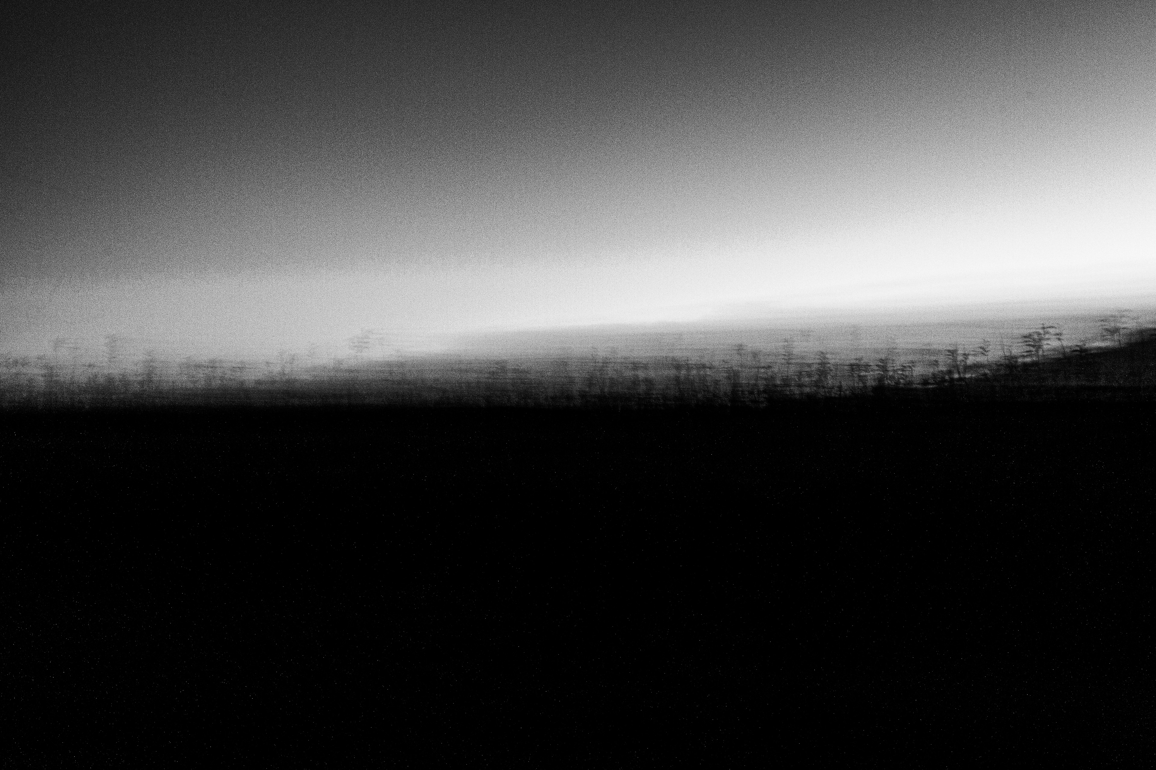 Foto per Joan Cabotti