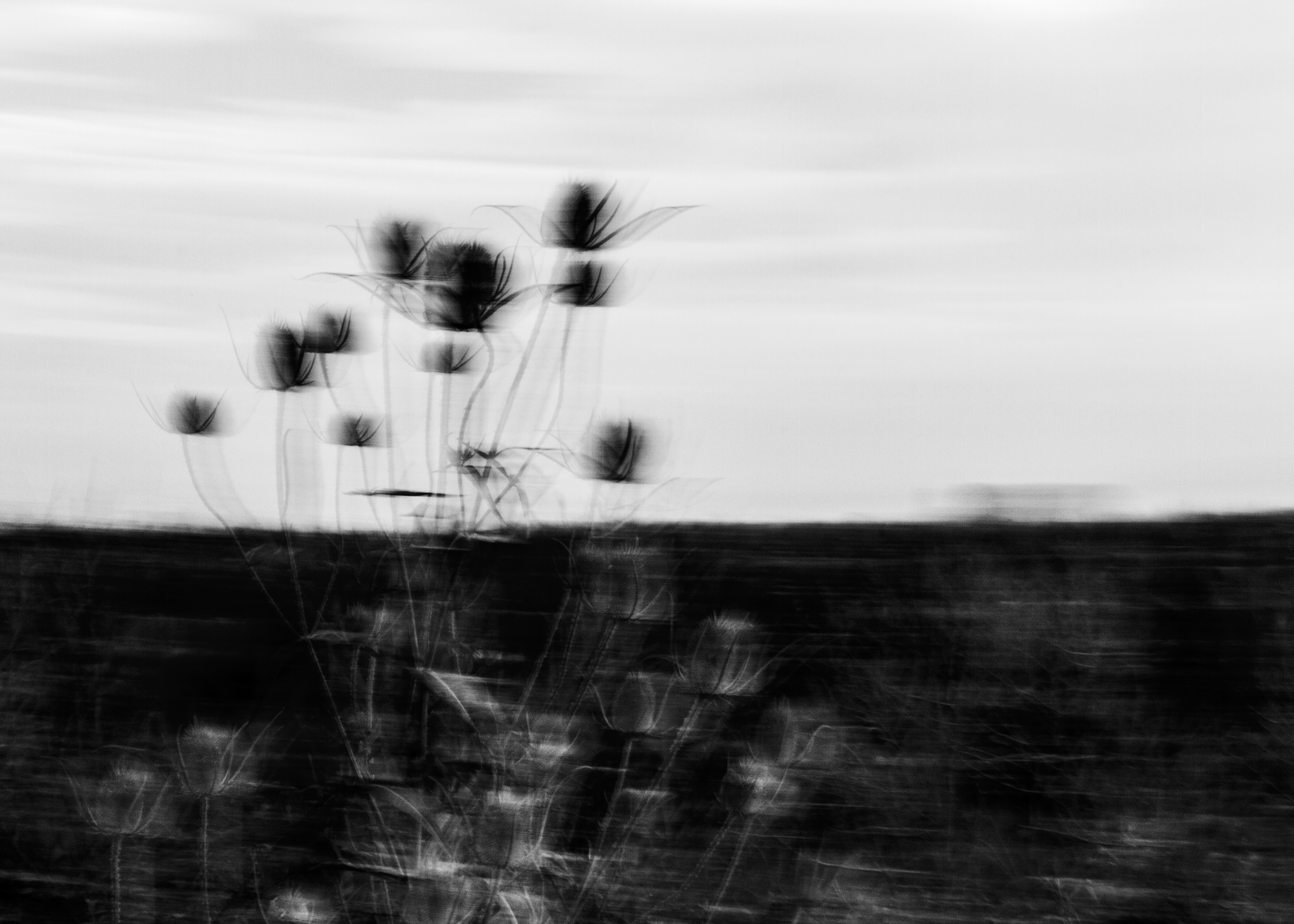 Foto per Joan Cabotti