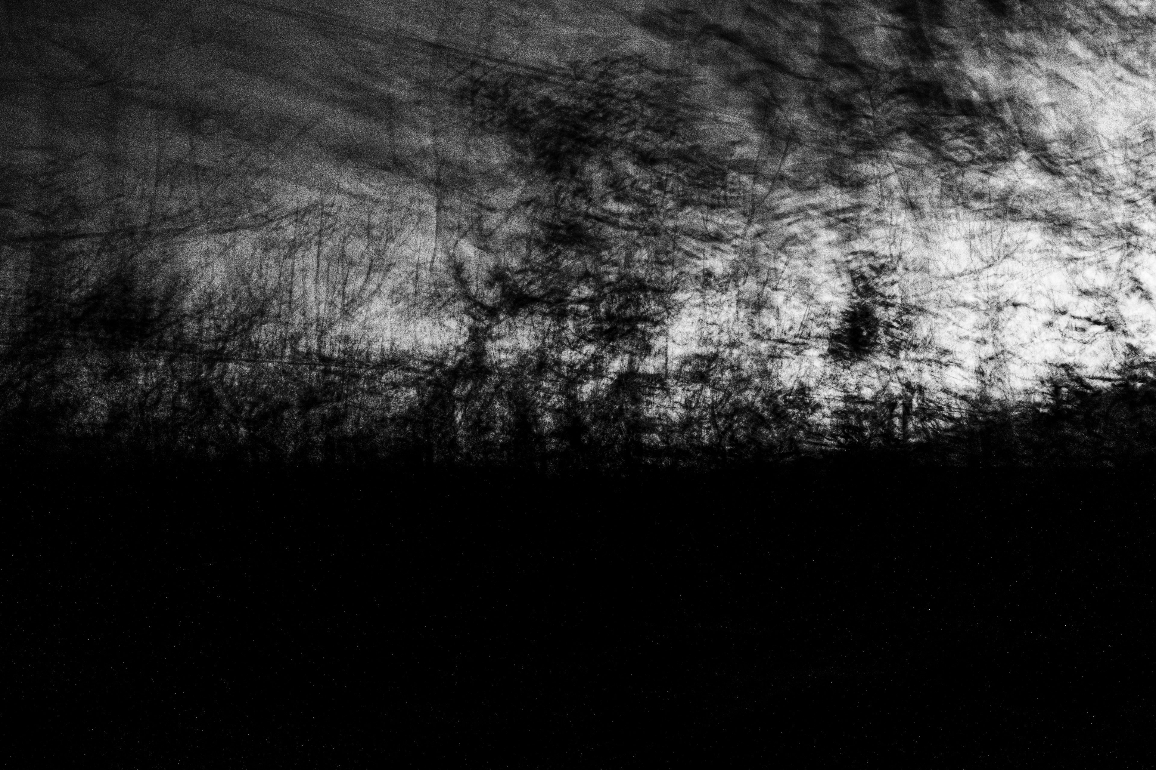 Foto per Joan Cabotti