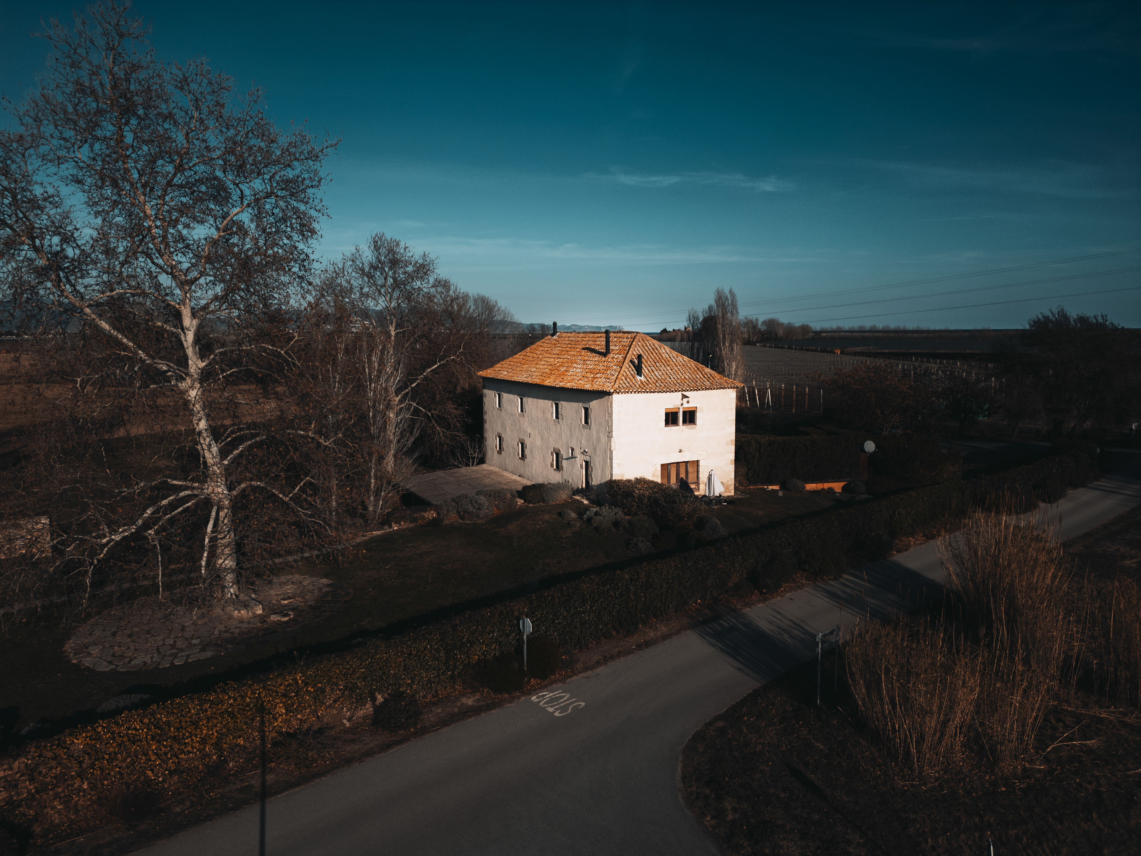Foto per Joan Cabotti