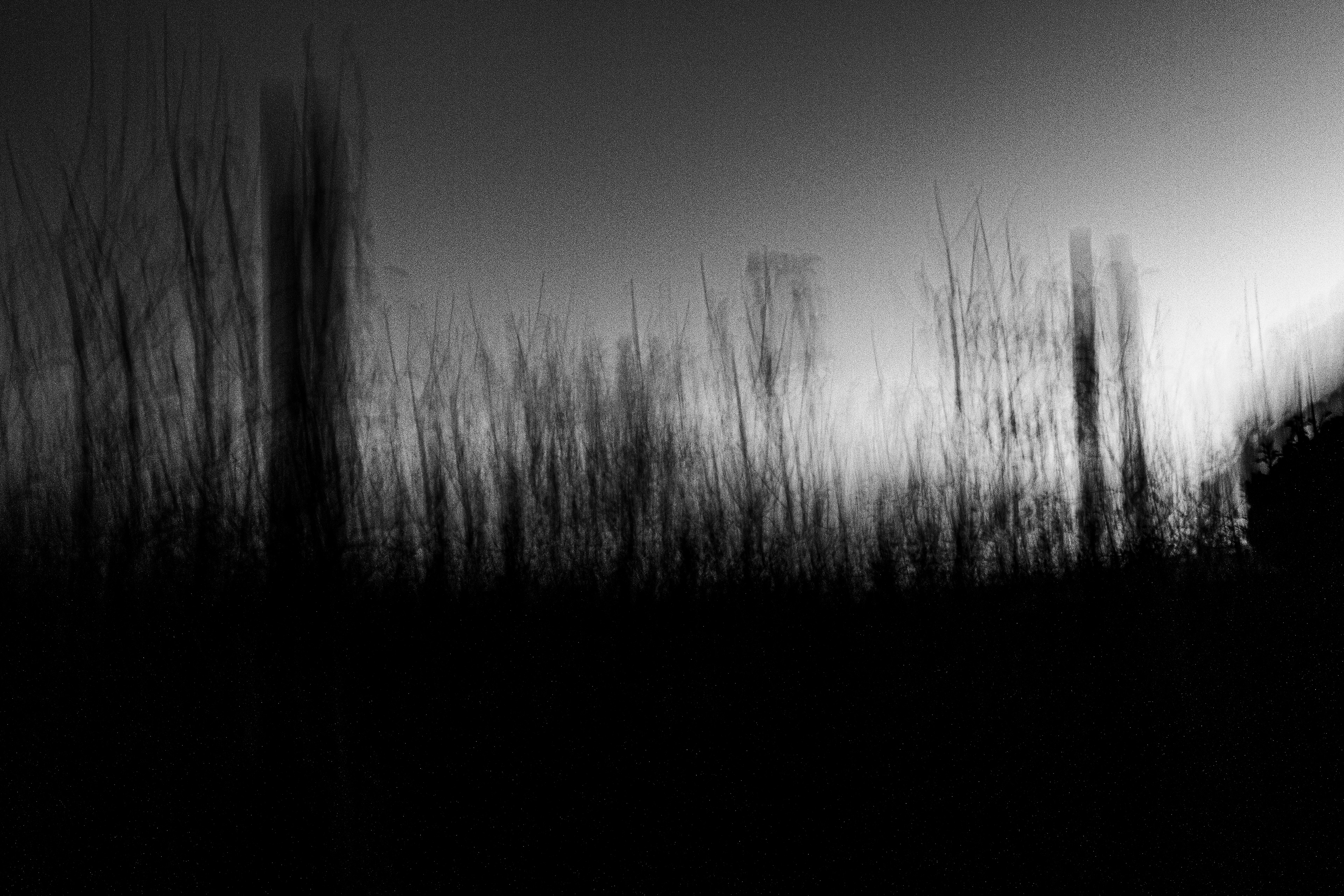 Foto per Joan Cabotti