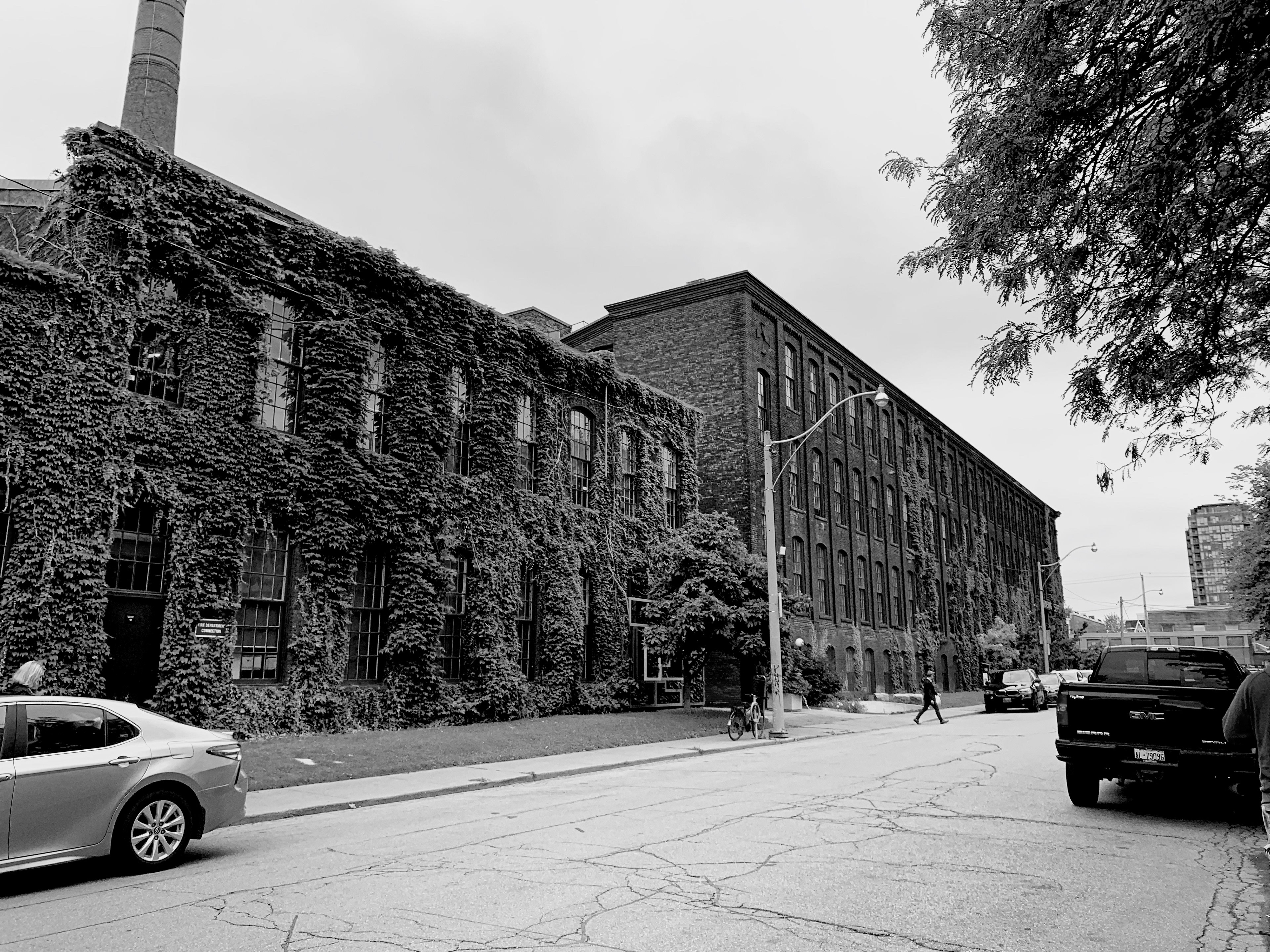 Site