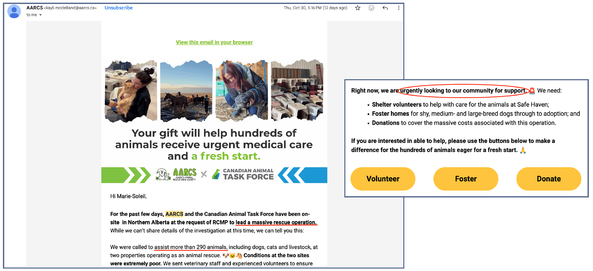 Email sent on October 30th mentioning the recent animal rescue operation in Valleyview with clear calls-to-action to attract more support from members, donors, and volunteers. (Hudon, 2025)