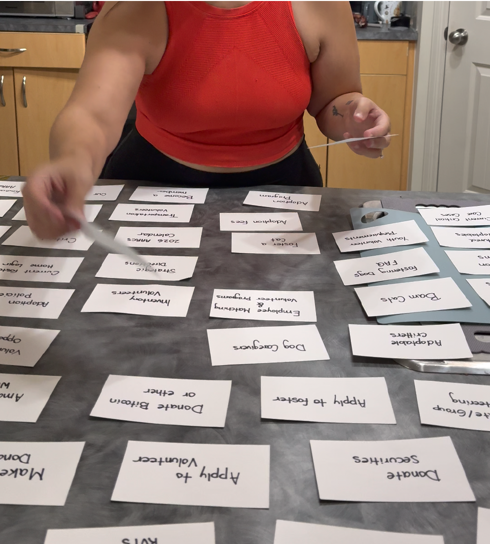 Participant 1 Sorting Cards