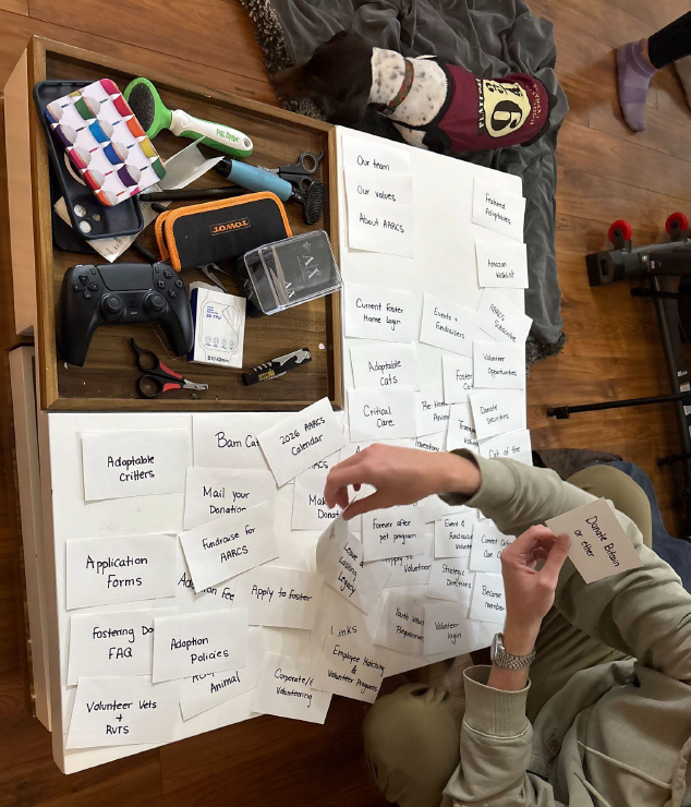 Participant 2 Sorting Cards