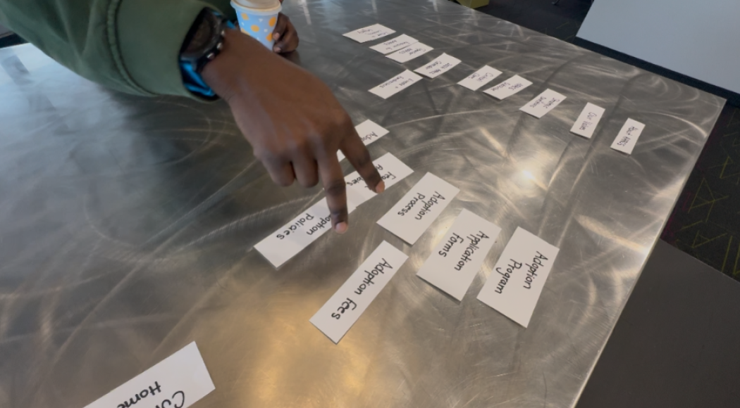 Participant 3 Sorting Cards