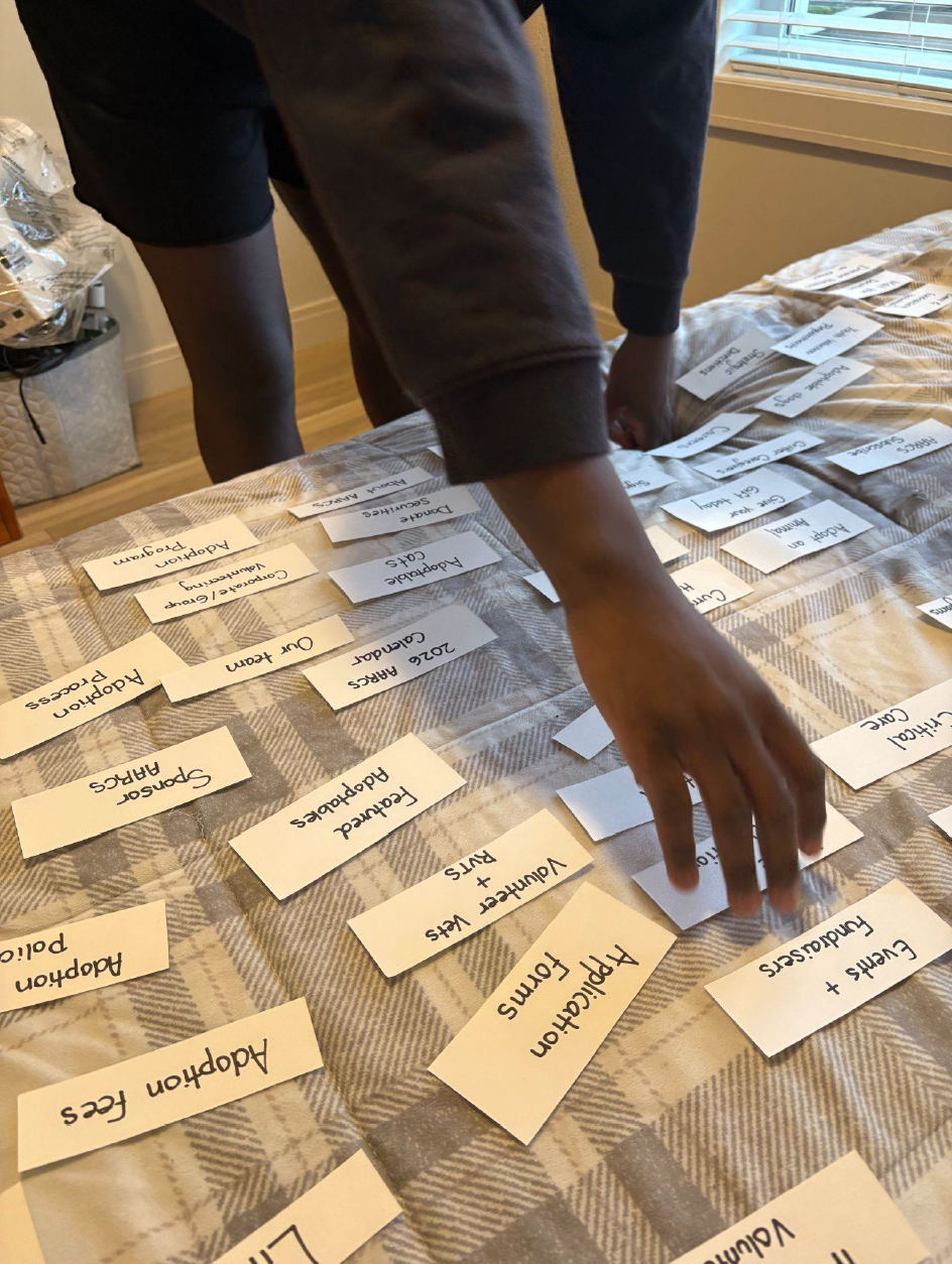 Participant 4 Sorting Cards