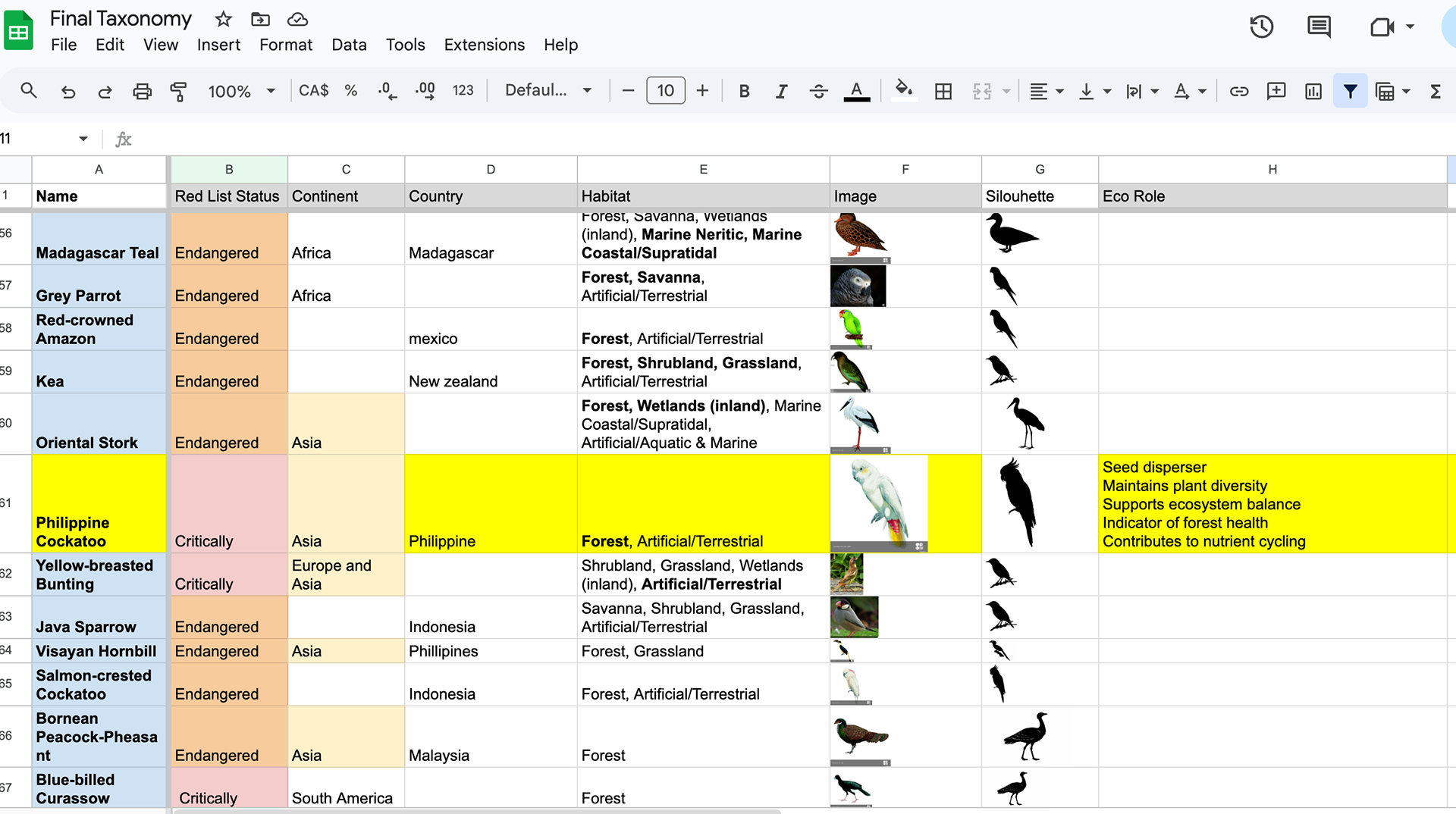 Final taxonomy with featured species highlighted in yellow