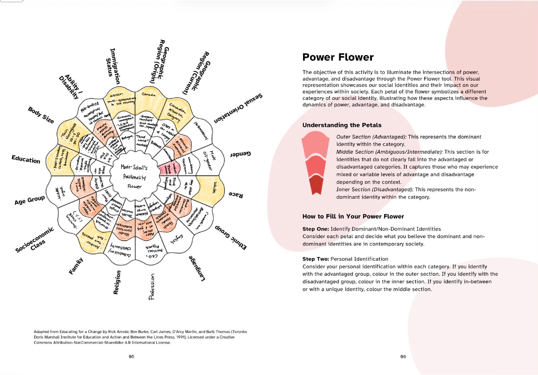 Positionality Flower Exercise