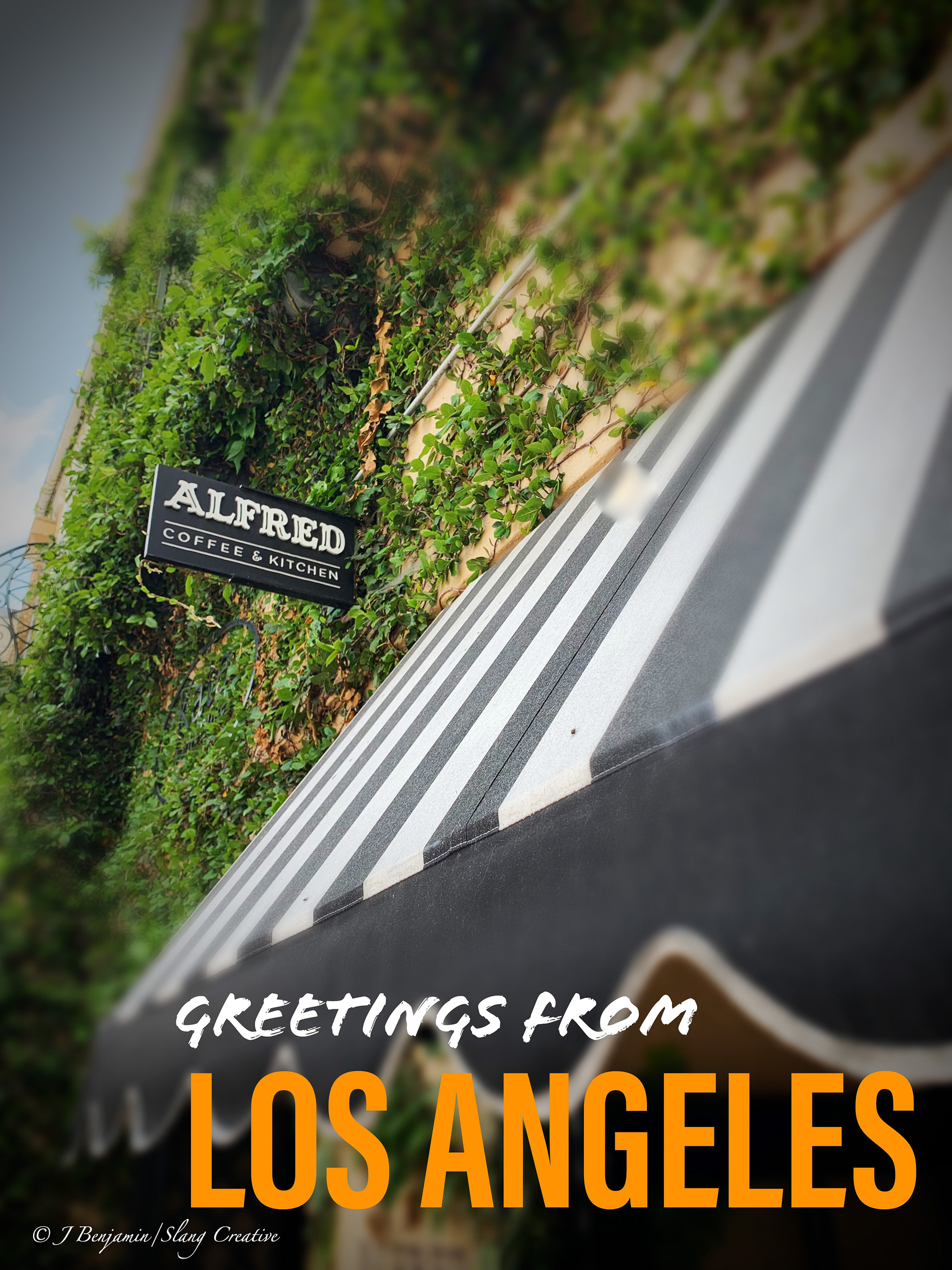 Alfred Coffee - Los Angeles CA