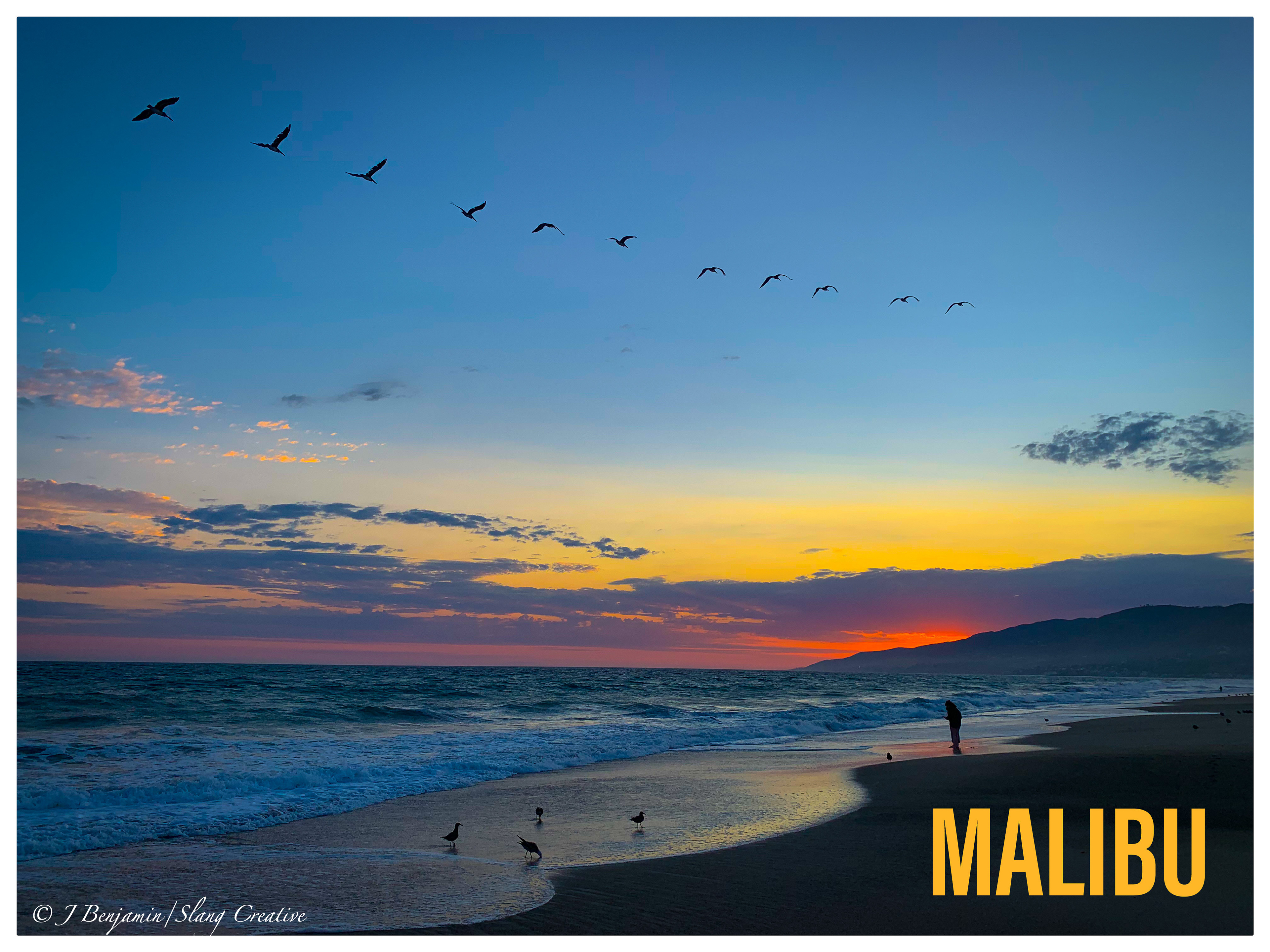 Pelicans At Sunset - Malibu CA
