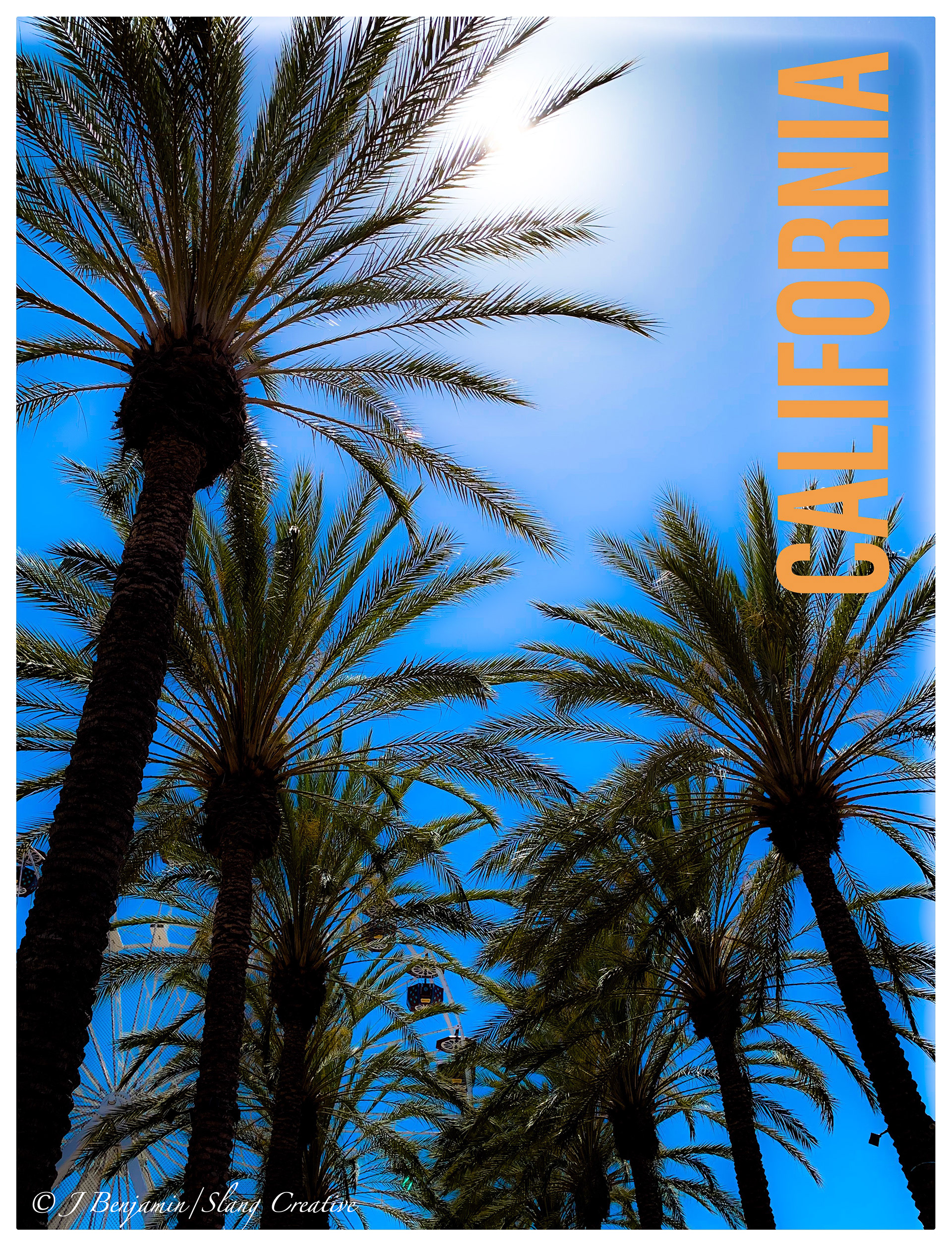 California Palms - Irvine CA