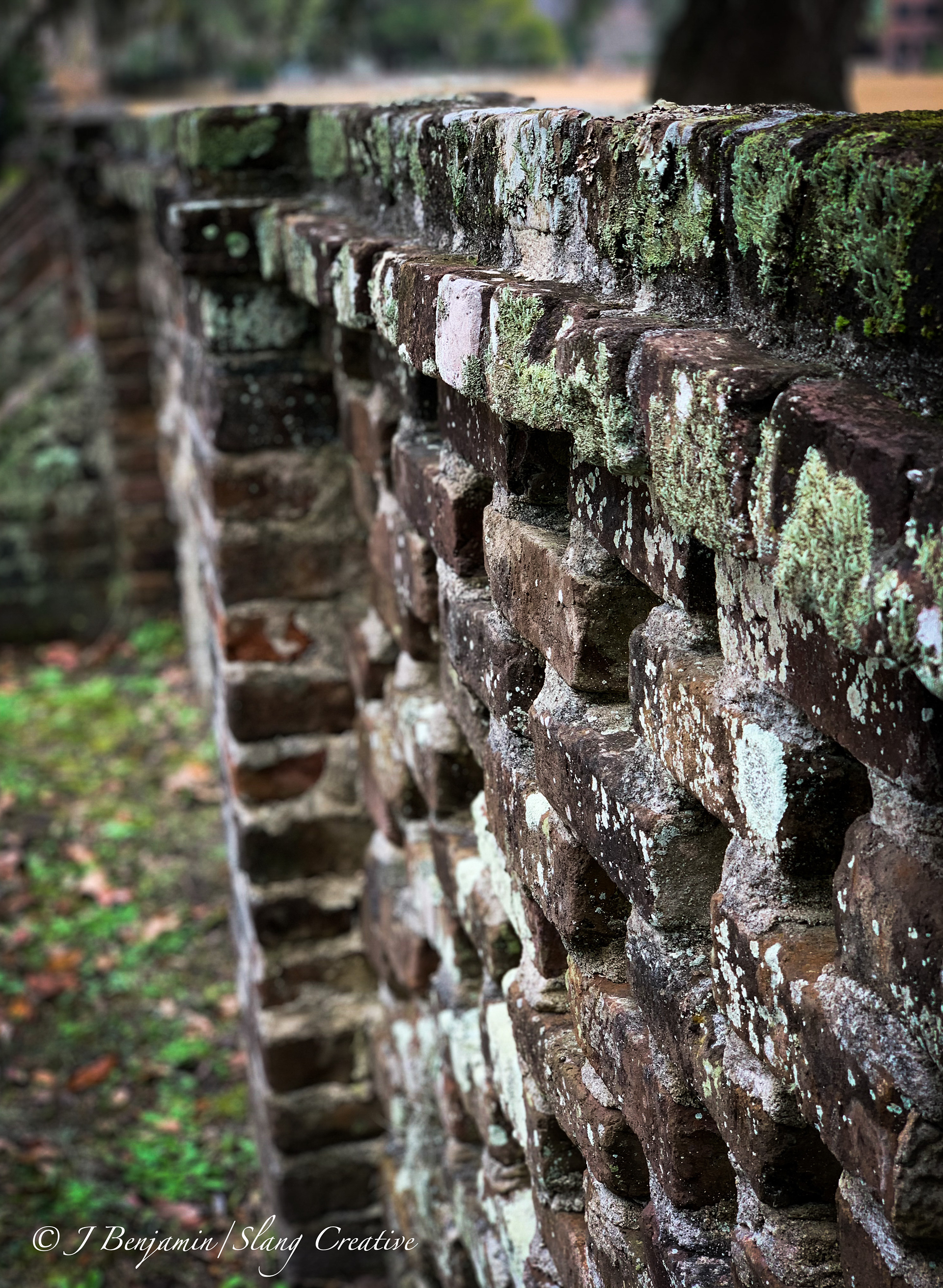 Brick Wall - Charleston SC