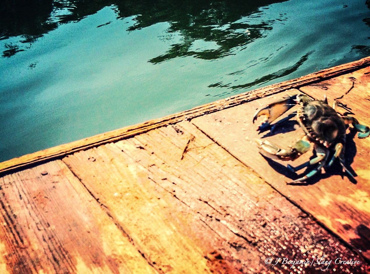 Blue Crab on Deck - Hilton Head SC