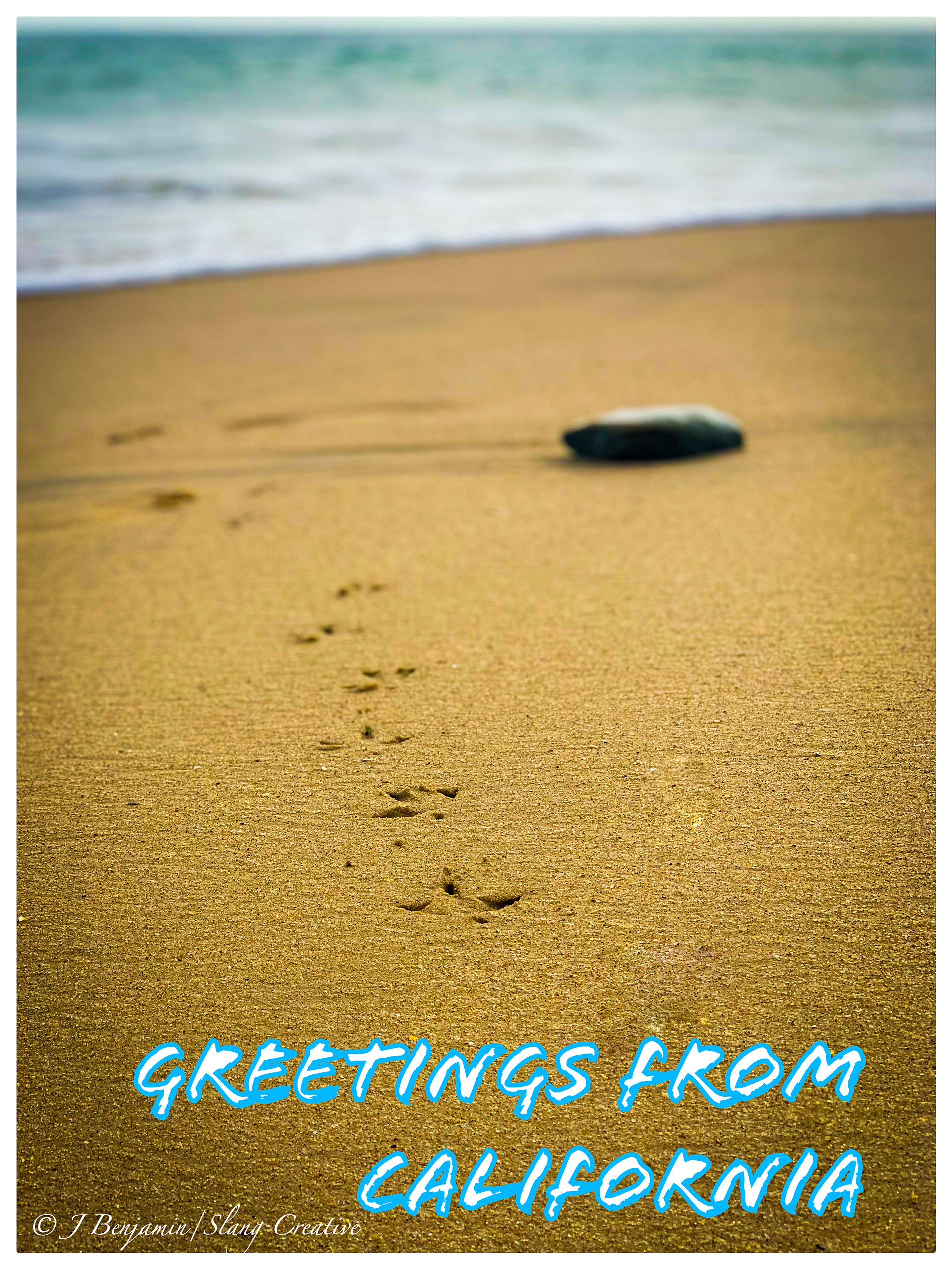 Footprints and Flint - Laguna Beach CA