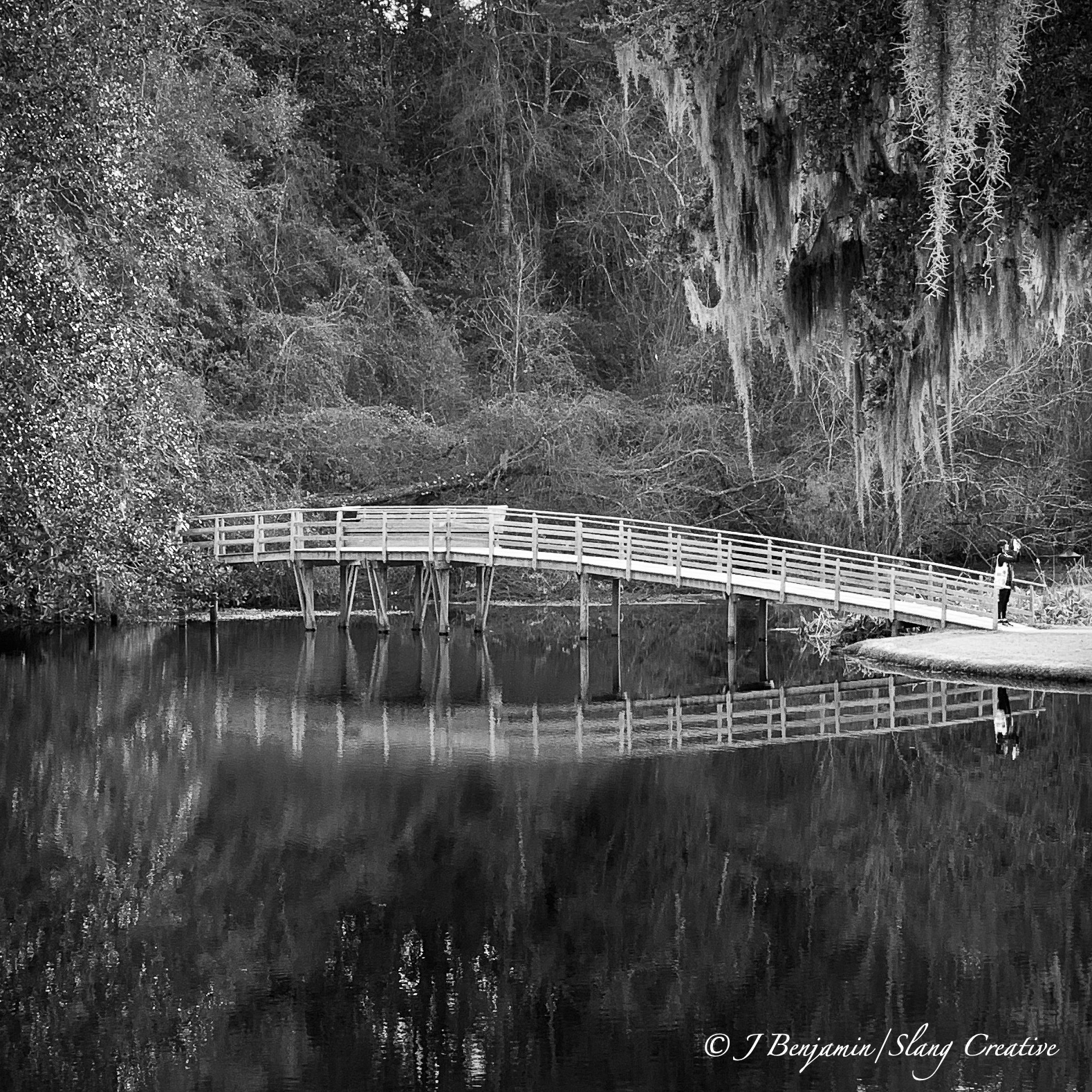 Lake Bridge Reflection - Charleston SC