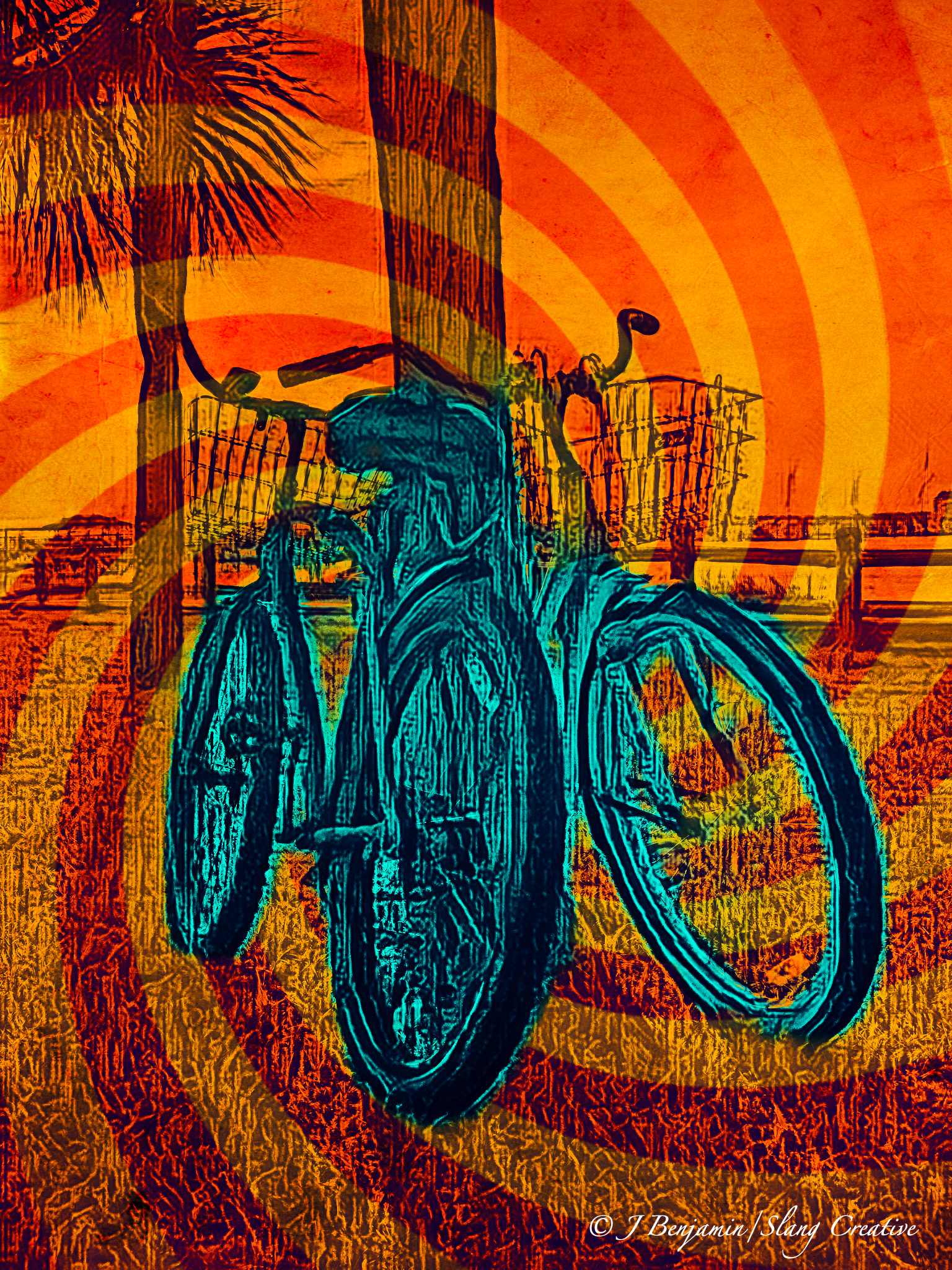 Psychodelic Bikes - Folly Beach SC