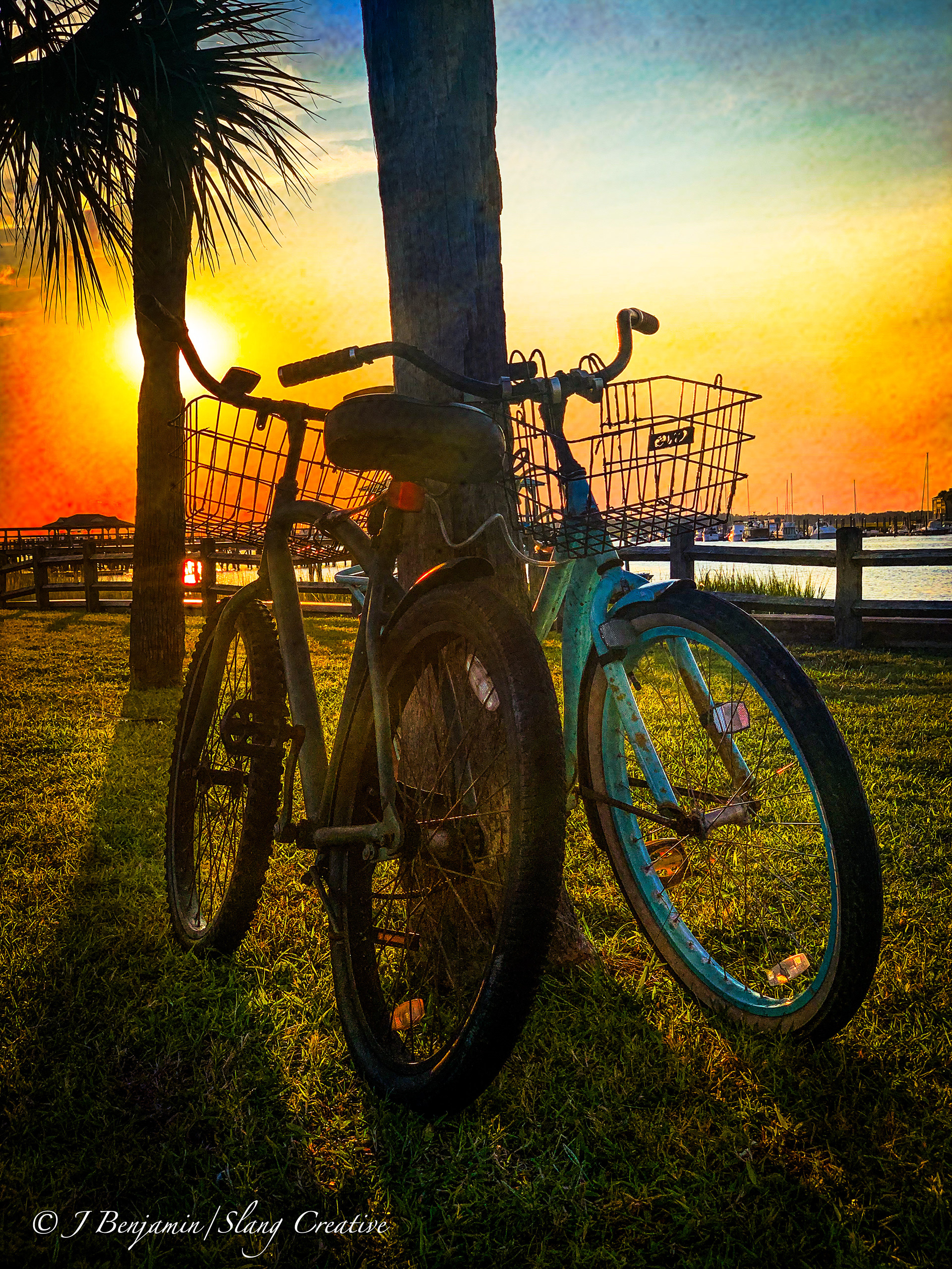 Bikes On A Palmetto At Sunset - Folly Beach SC