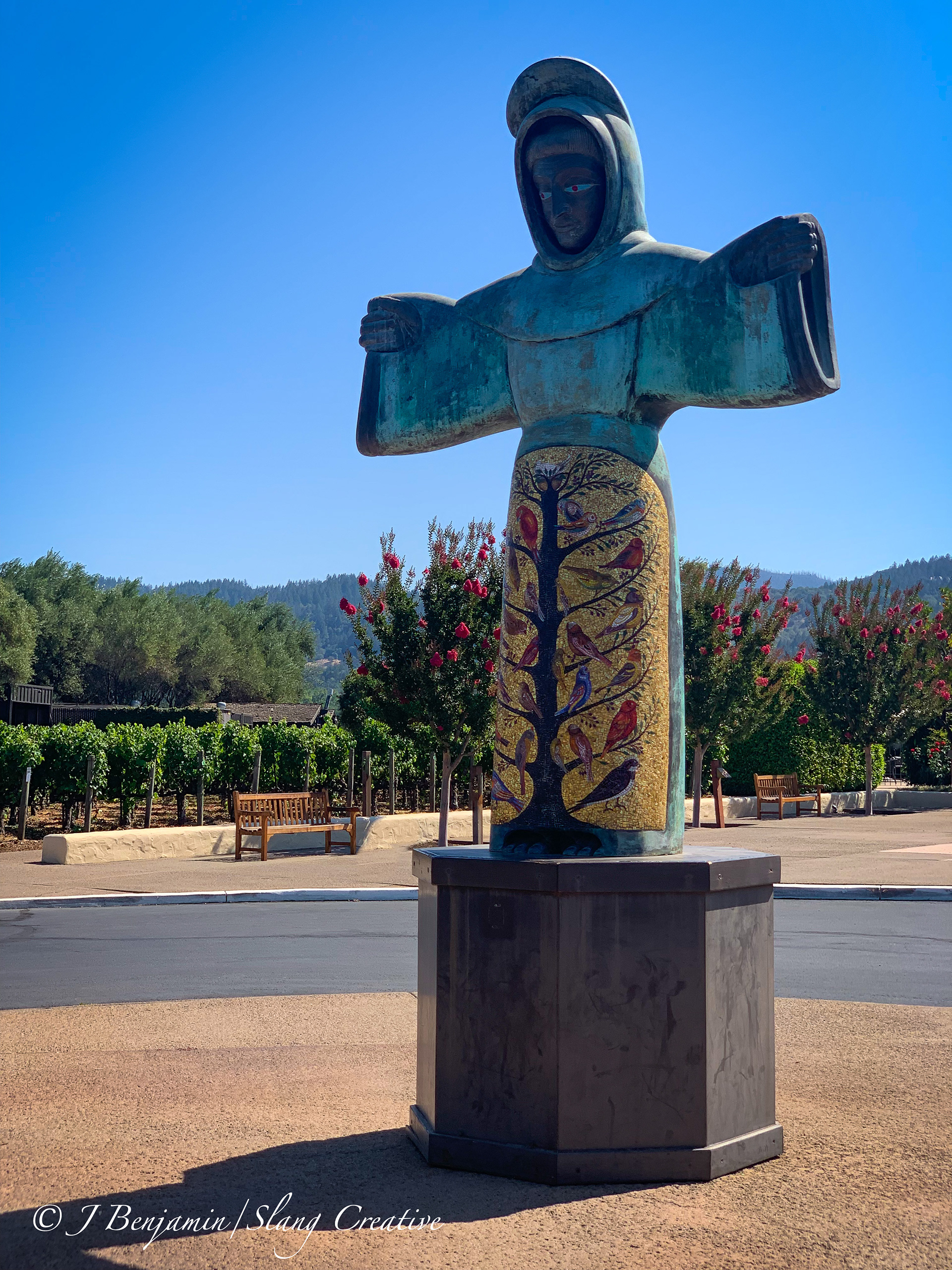 Mondavi Guardian Shadow - Napa Valley CA