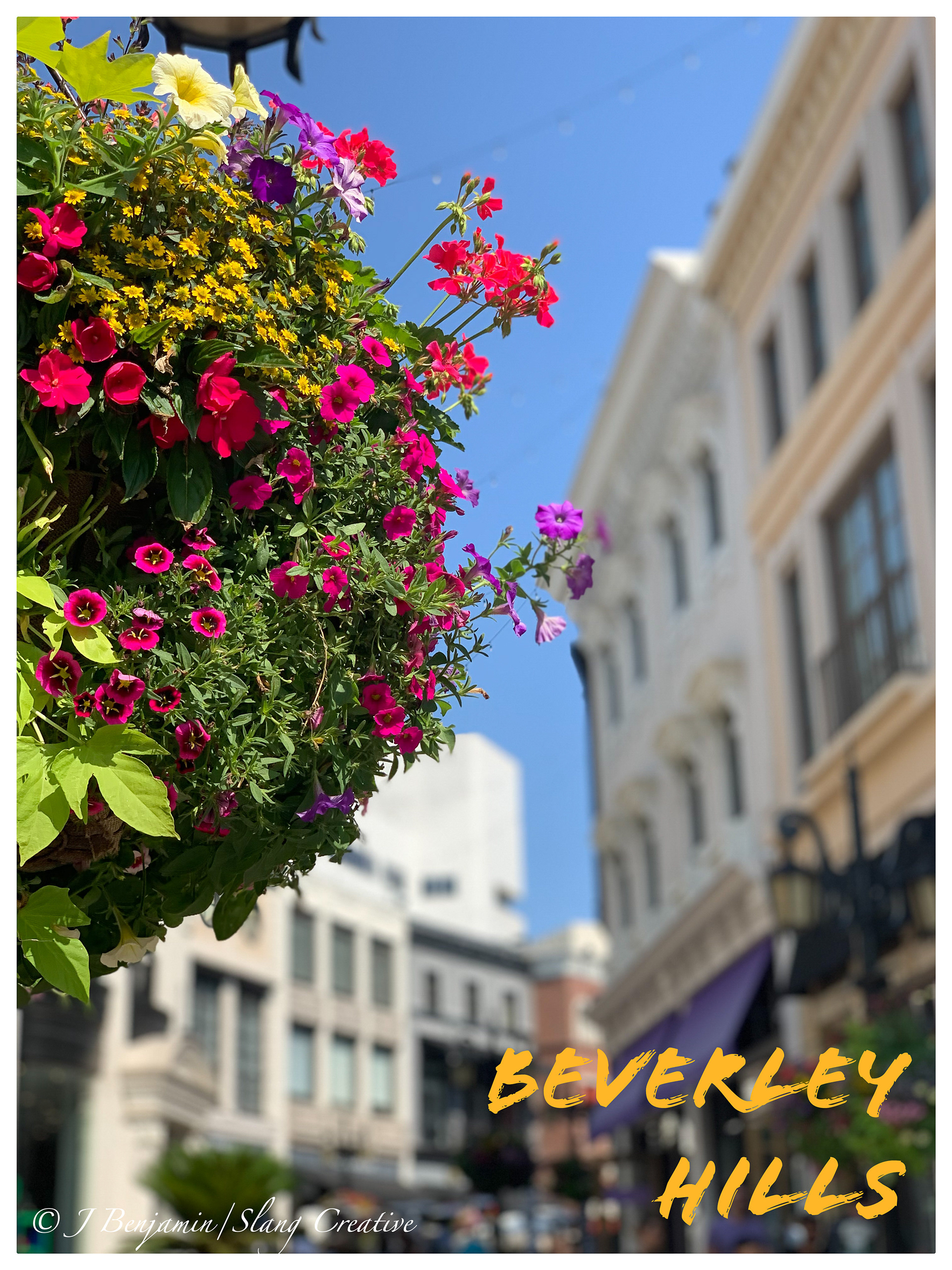 Rodeo Drive - Beverly Hills CA