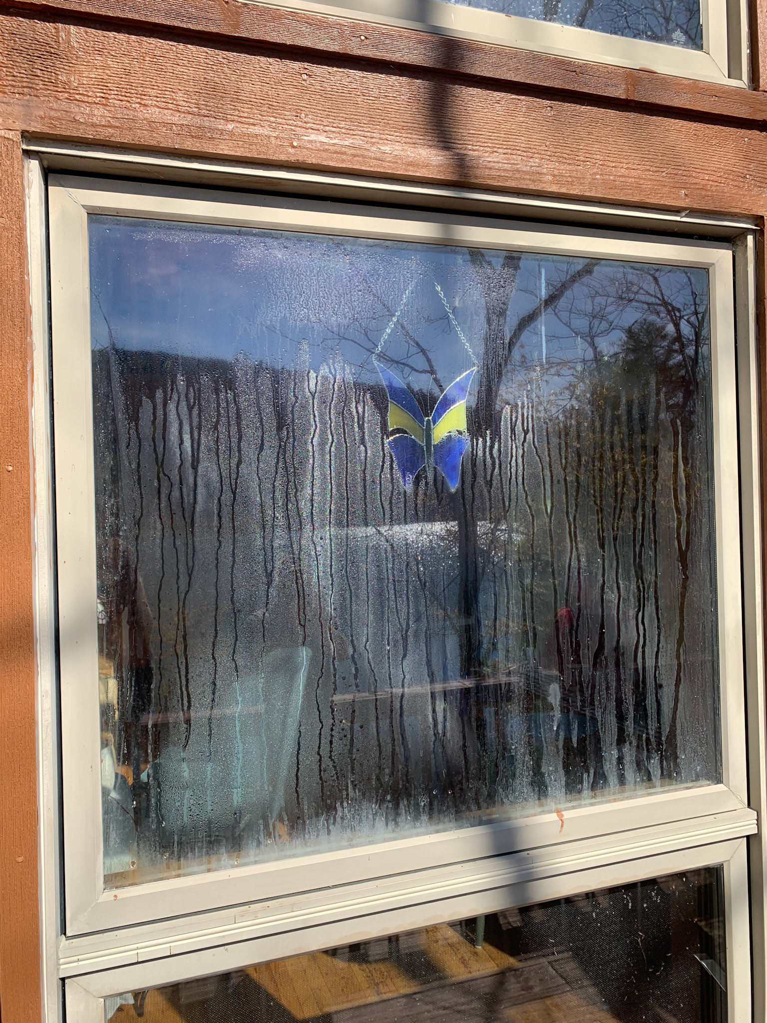 Damaged Windows