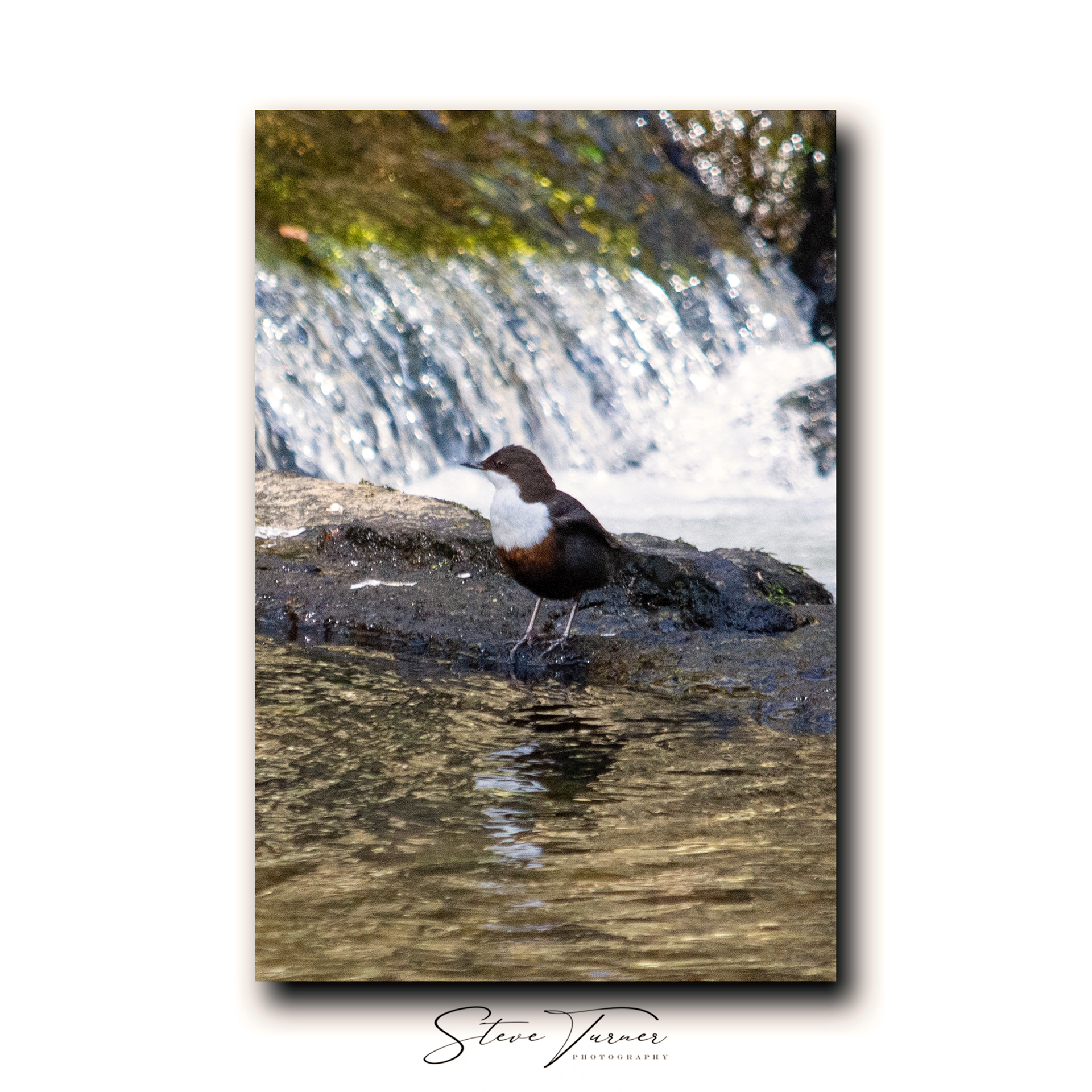 Dipper