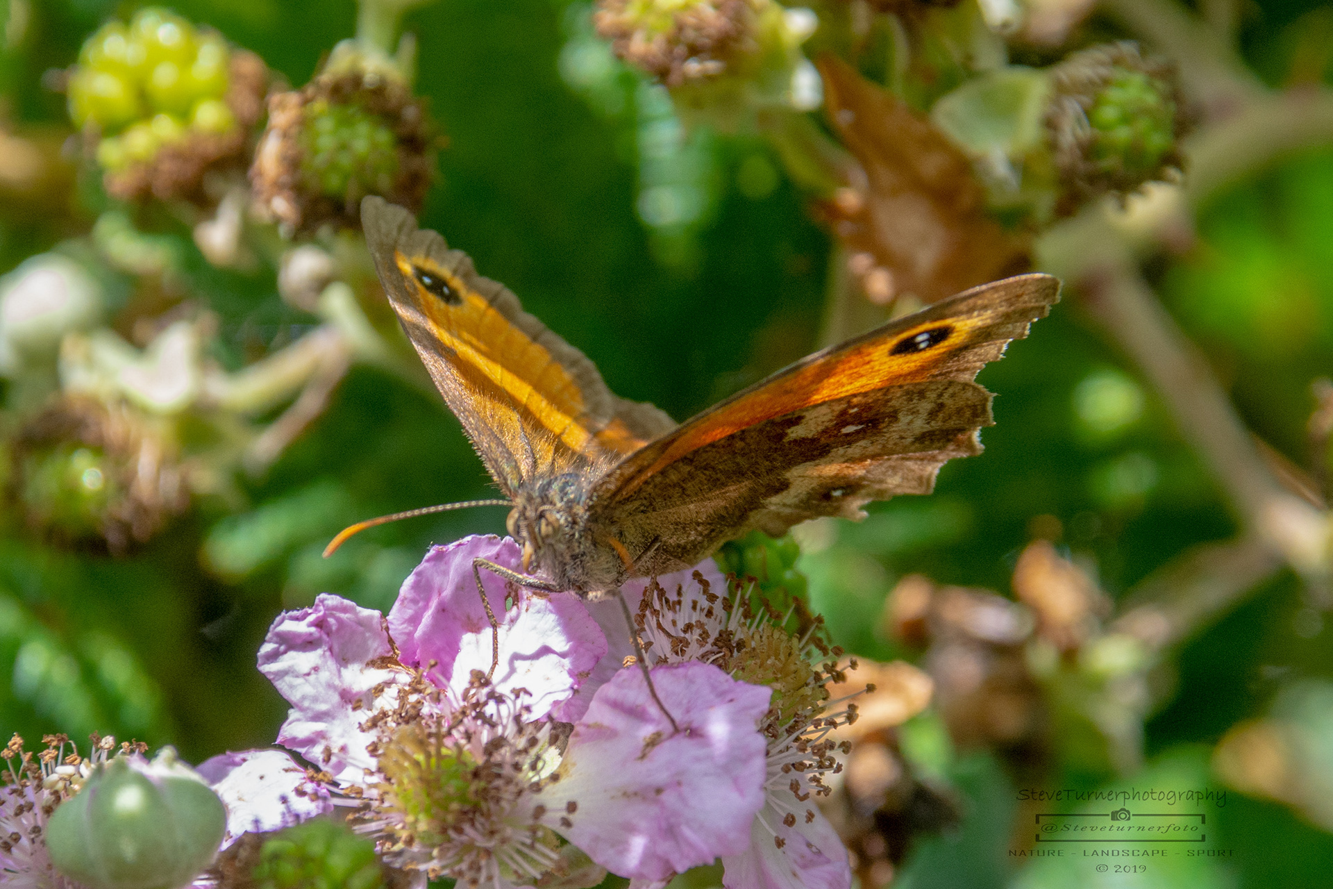 Gatekeeper
