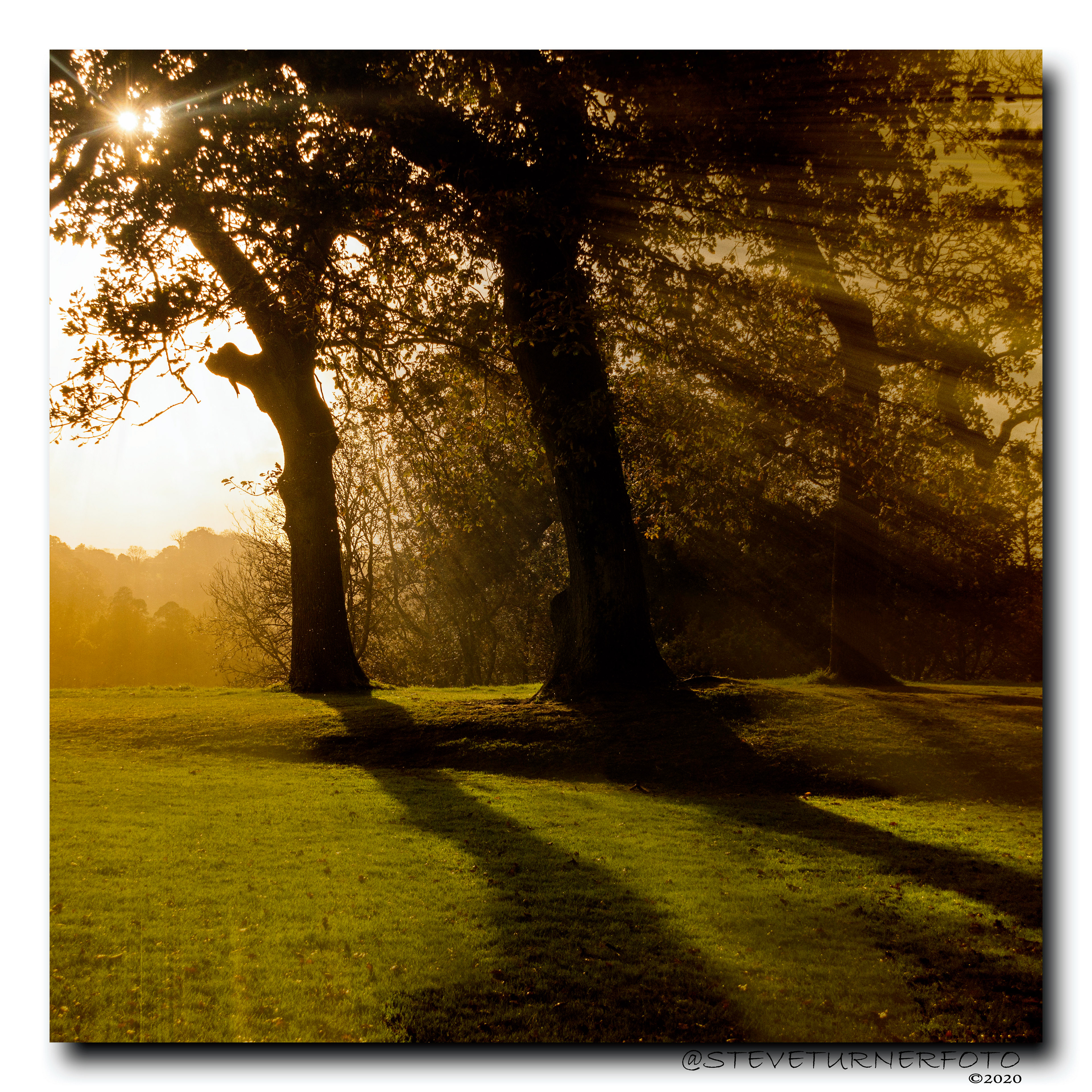 Sunrays
