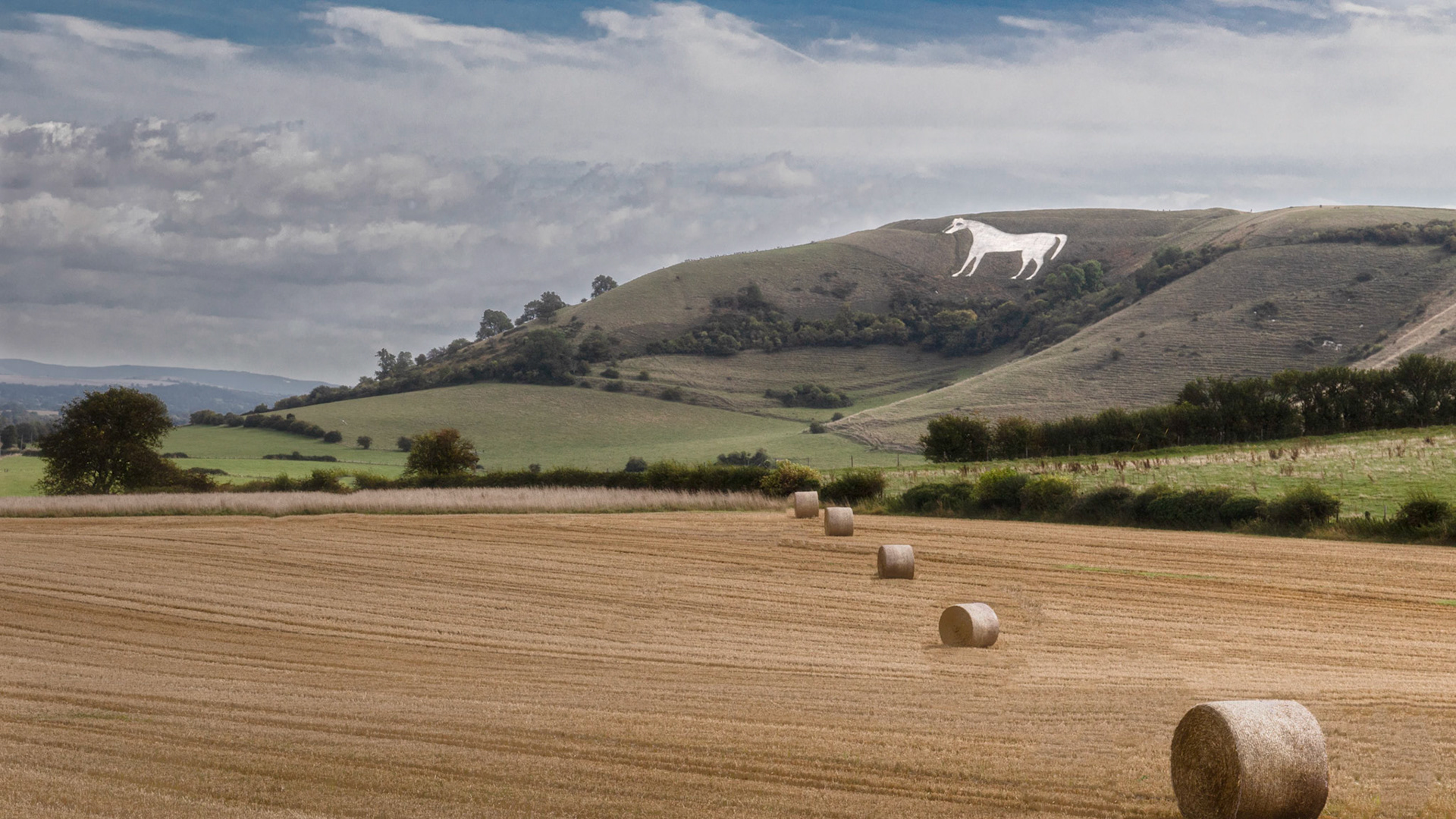 White Horse Westbury