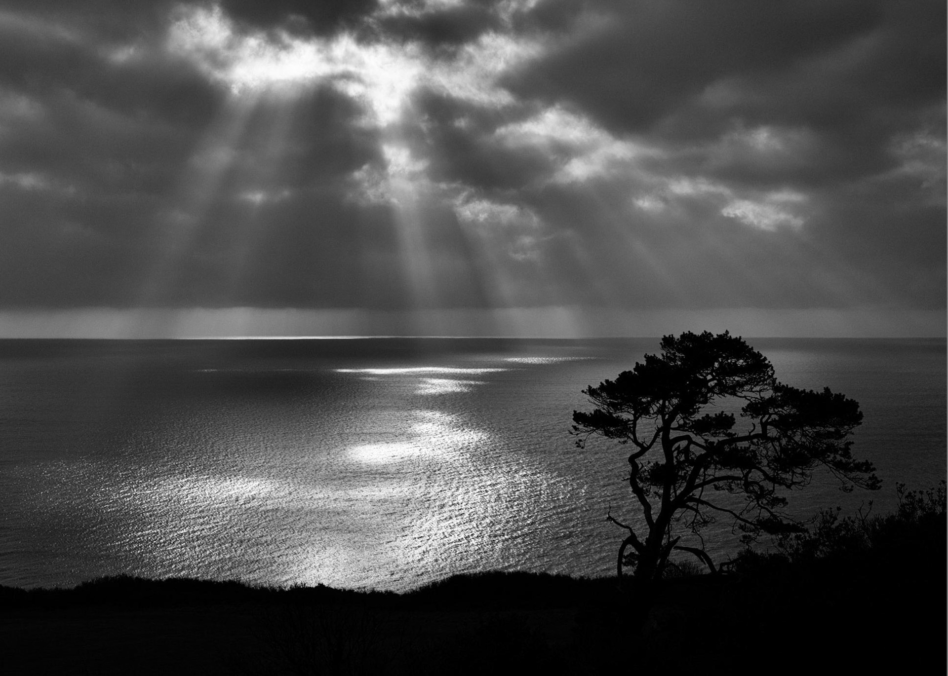 Ray of Light