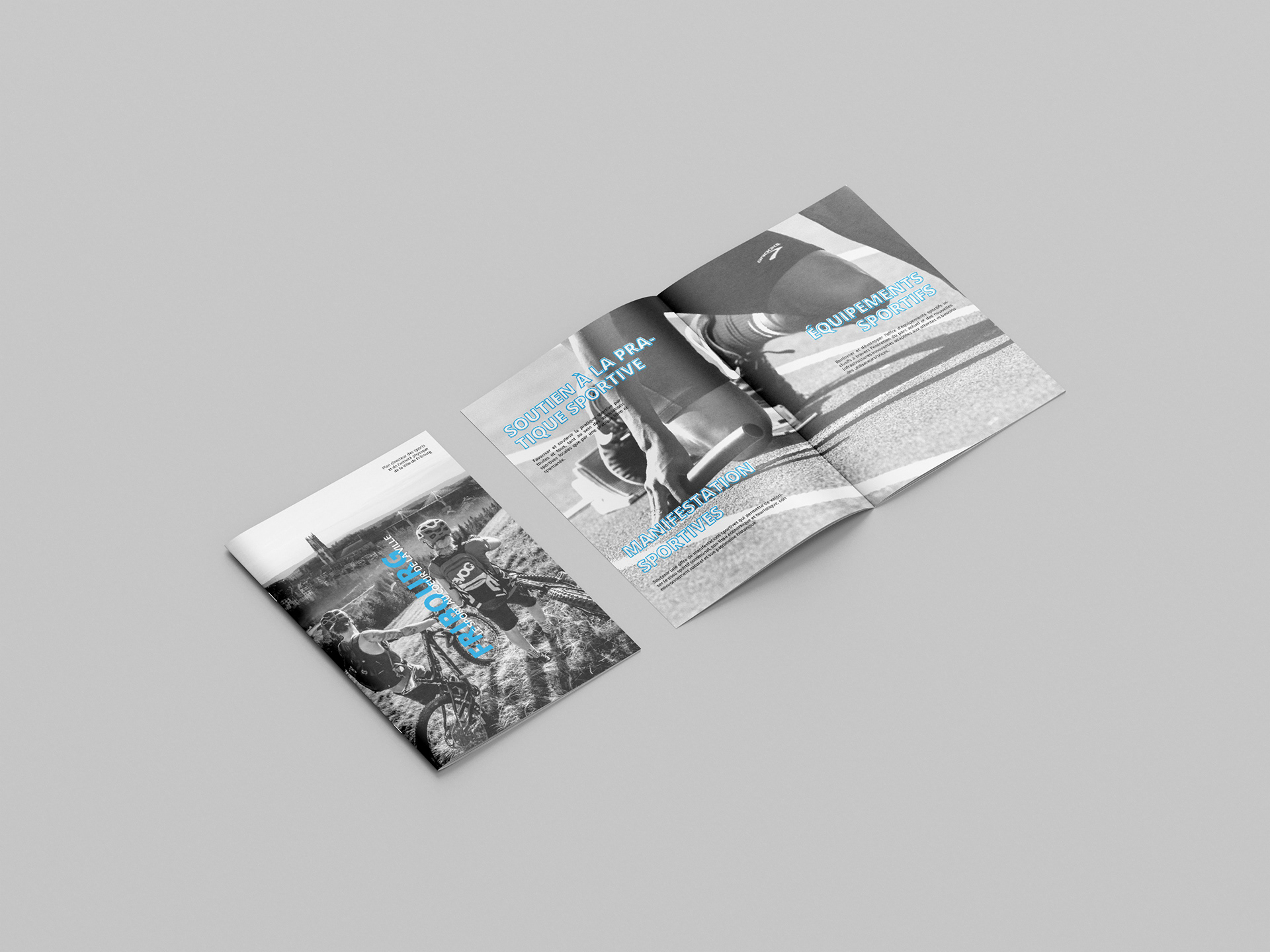 Brochure - Plan directeur des sports
