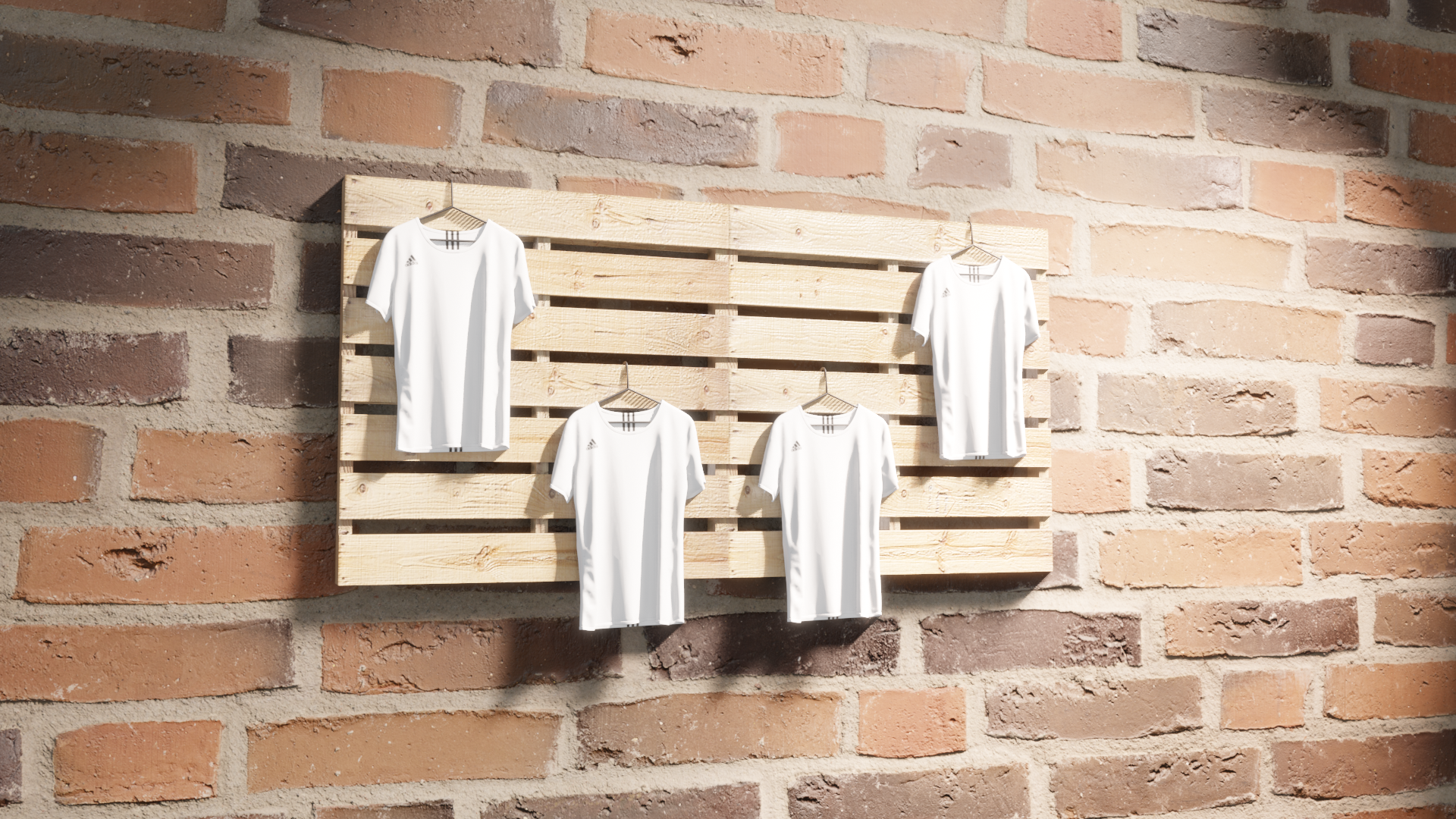 Display #4