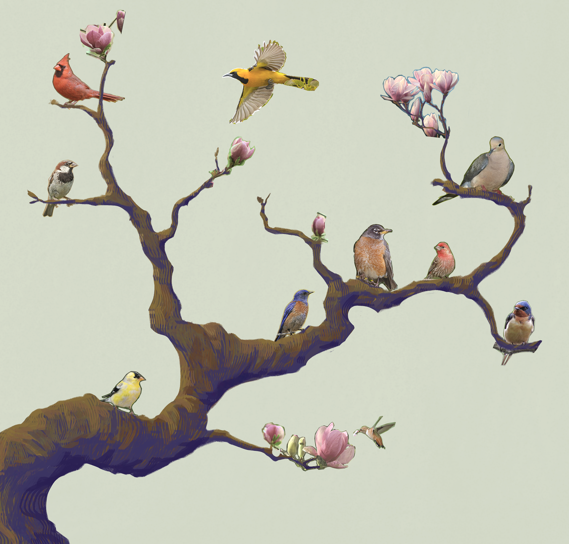 CMYK version final illustration.