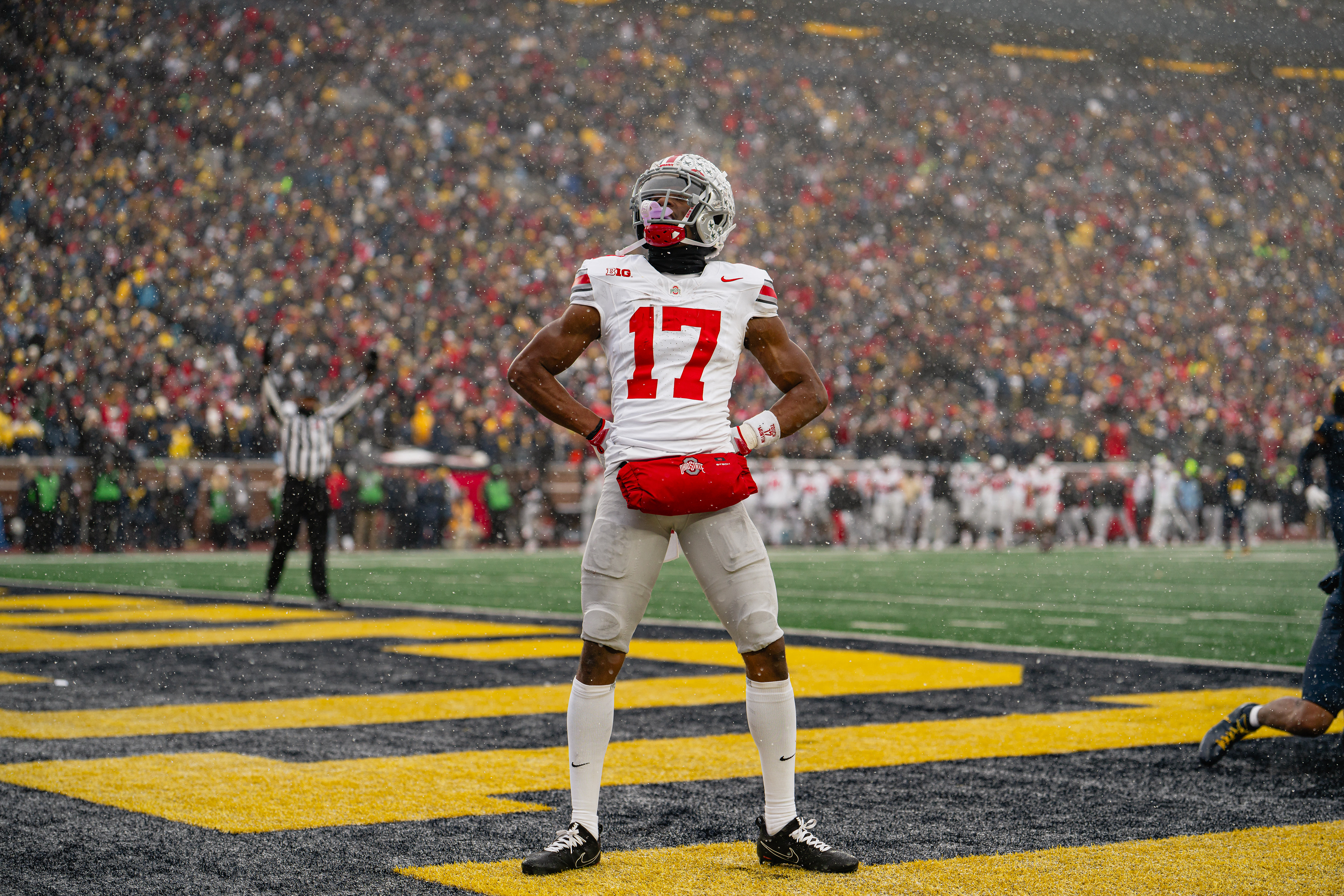 Carnell Tate, Touchdown vs Michigan | November 29, 2025