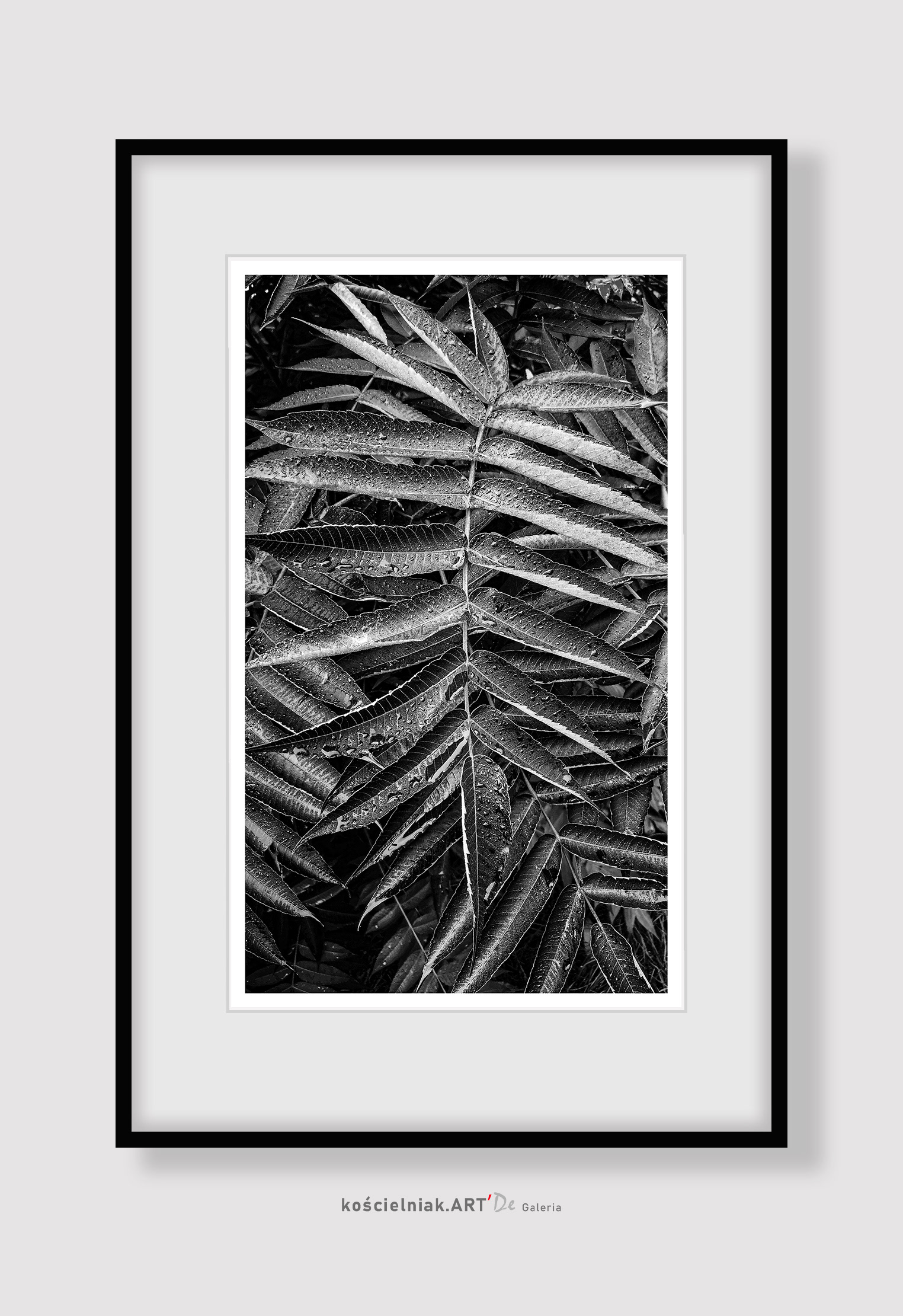 LIŚCIE black '2020__45x76,5_48x79.5__40I40