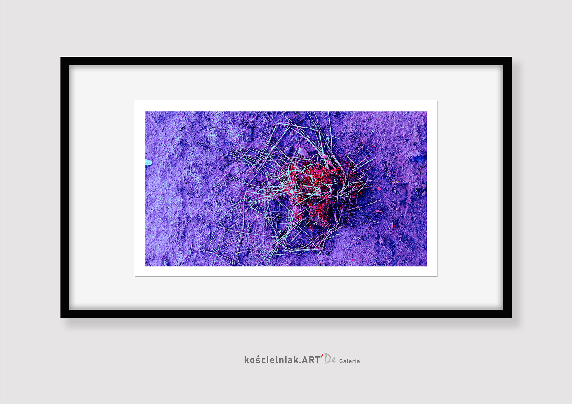 TRAWA 2 '2018__40x22_43x25__40I40