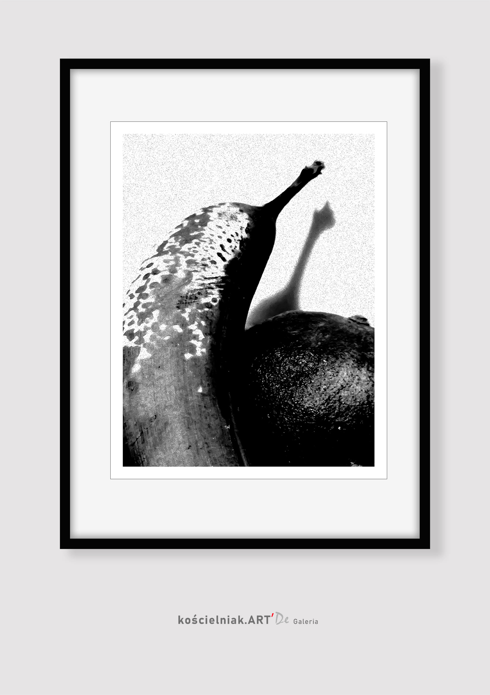 OWOCE 2 cb '2019__30x40_33x43__40I40