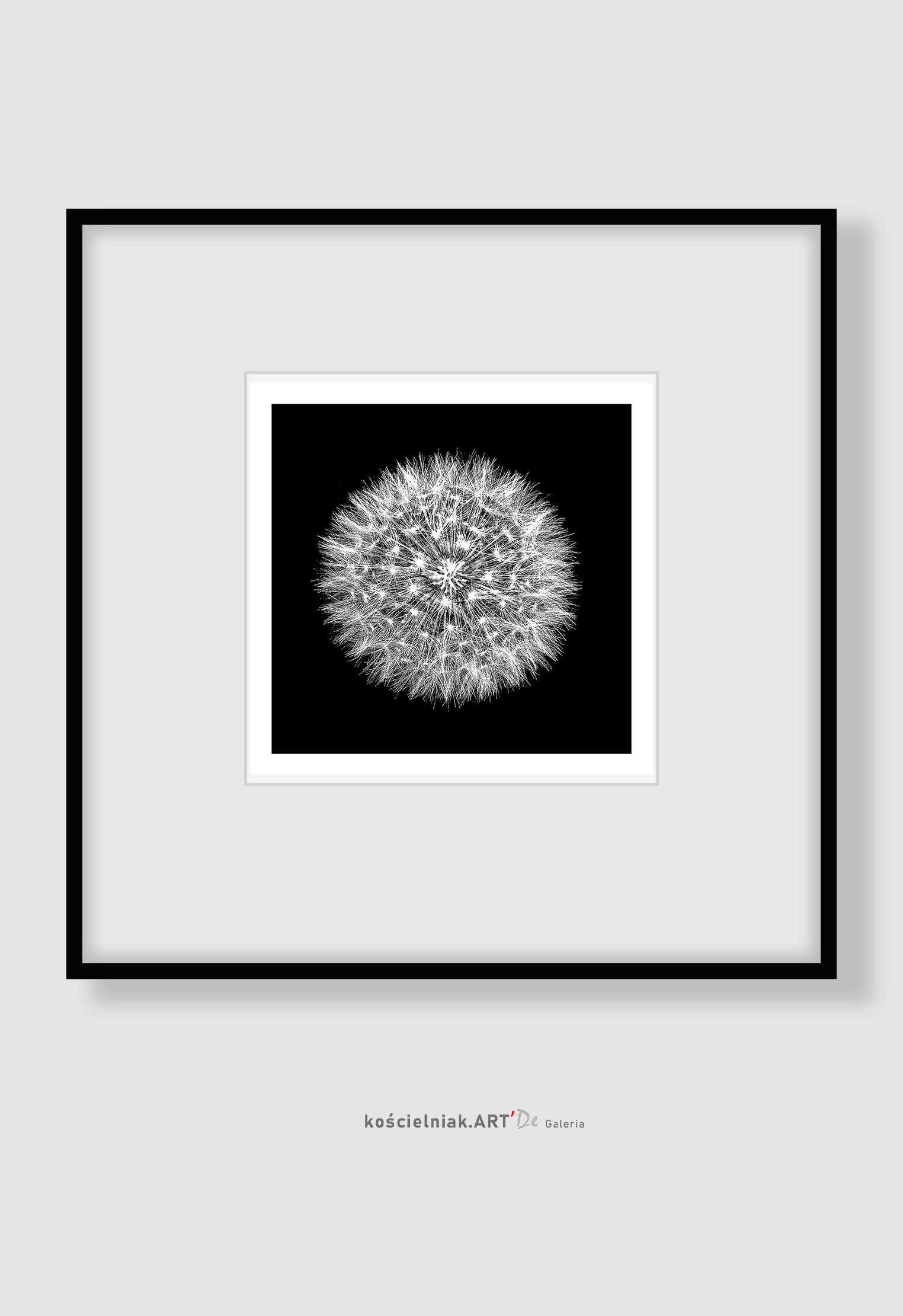 DMUCHAWIEC cb '2016__25x25_ 28x28__37I40