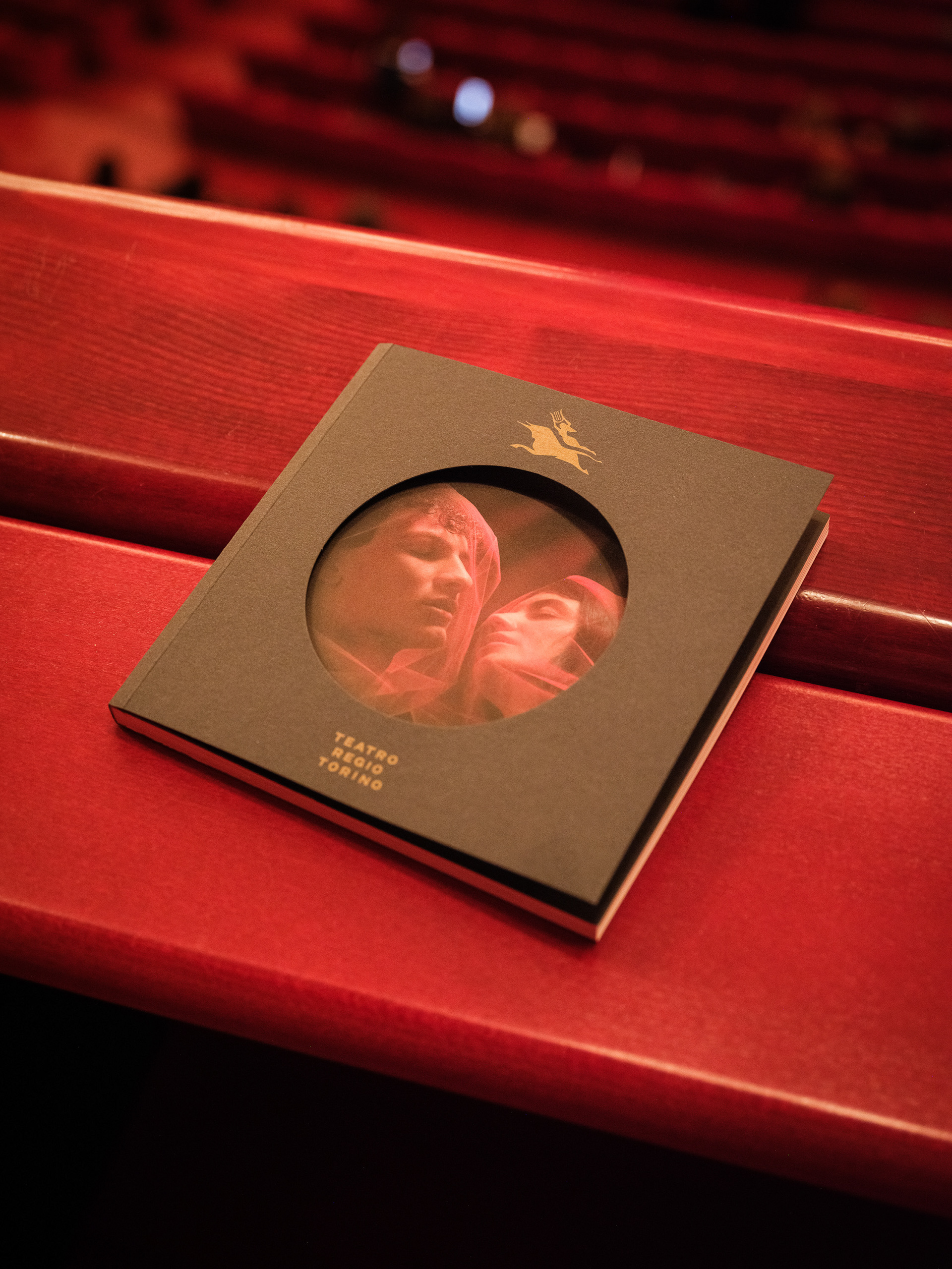 GFX100SII – 100mm – iso 8000, f.4.0, 1/100 sec.