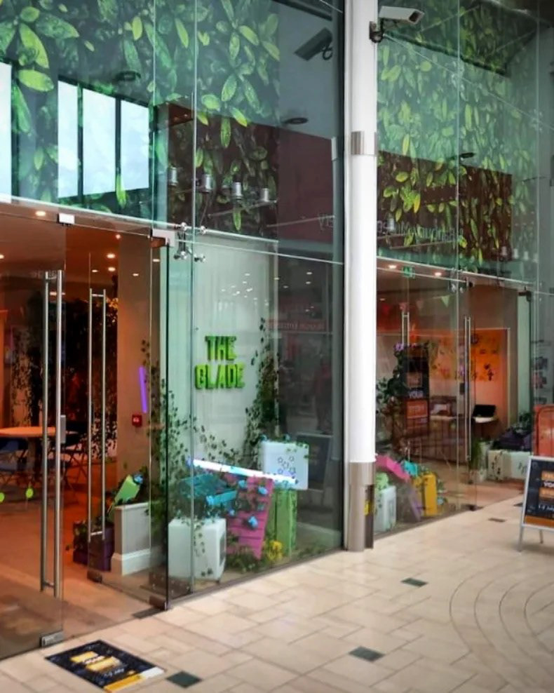 The window display