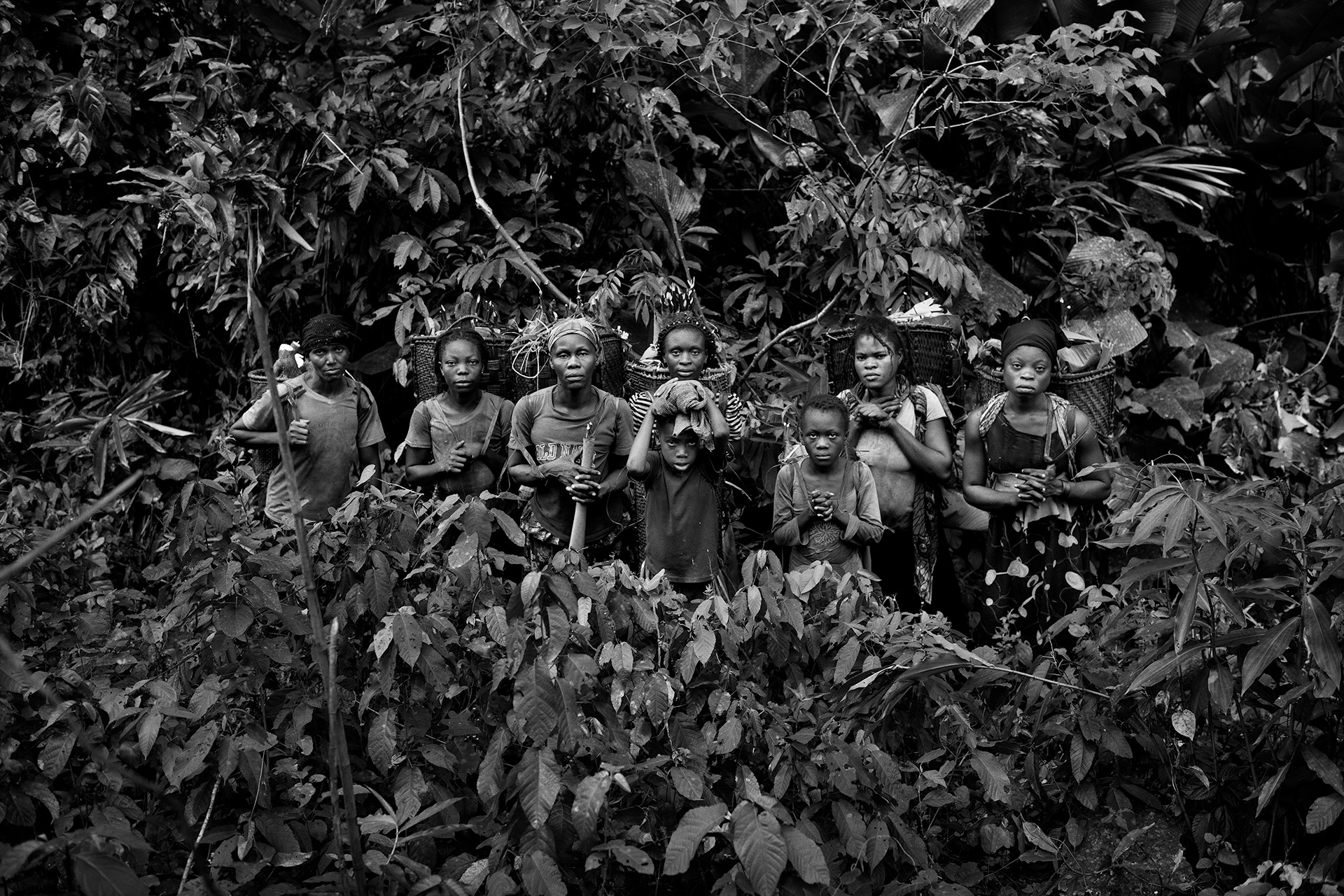 Thsuapa, October 2016. Women on their way to a market in the neighboring town to sell their "chikwangue" (a traditional meal made of cassava) and other forest goods. Local populations rely mostly on the forests for their subsistence. There, they gather various medicinal, alimentary or energy-related products all year-round.
