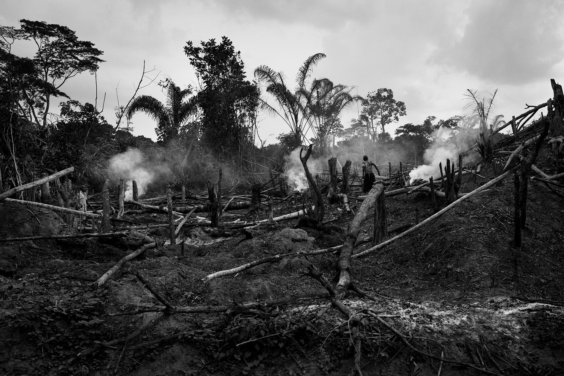 Tshopo, July 2016. Traditional agriculture in woodland. In the DR-Congo, the average income per capita is 1.1$/day, and rural communities use slash-and-burn to clear forests and fertilize fields cultivated for subsistence. This method quickly degrades soils and farmers have to relocate their fields every 2 or 3 years, worsening pressure on the forest.