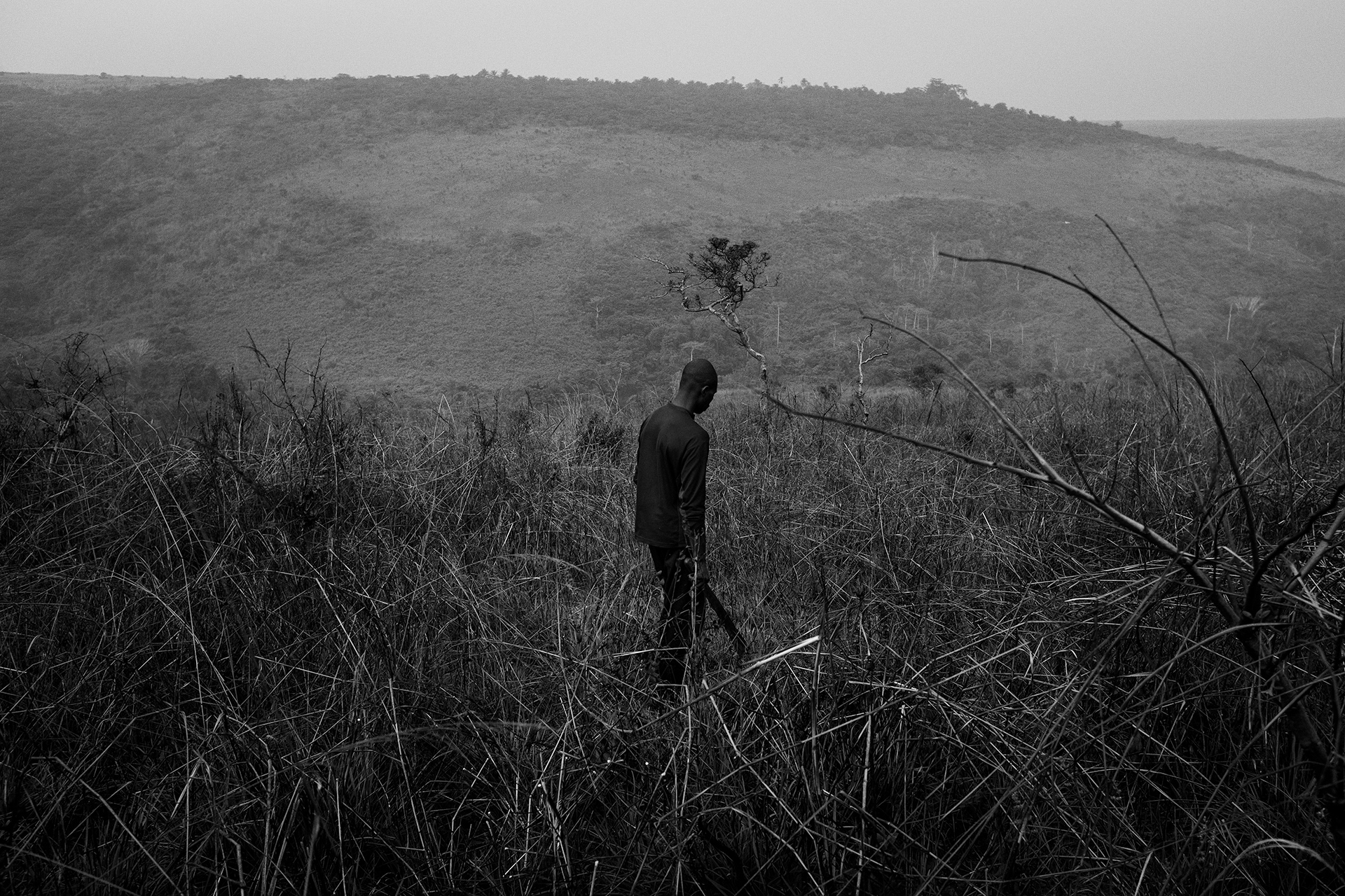 Kinshasa Province, June 2016. John, a farmer from a hamlet on the edge of Ibi village territory. In Ibi, the NGO GI Agro teaches environmentally friendly agroforestry techniques to the 1200 inhabitants of the ten neighboring hamlets.