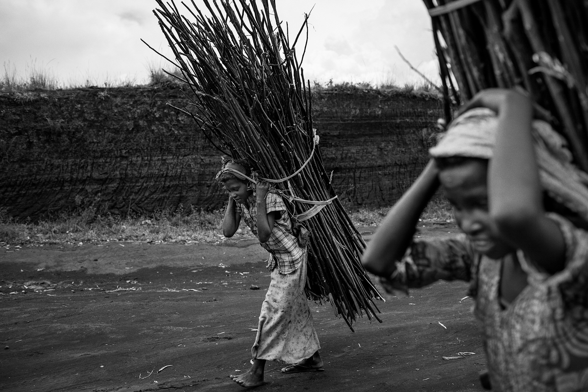 ac Vert, North-Kivu, November 2016. Young women carry firewood, an activity often done by children or women. It is used by a part of the population too poor to buy charcoal, yet less harmful for health.
