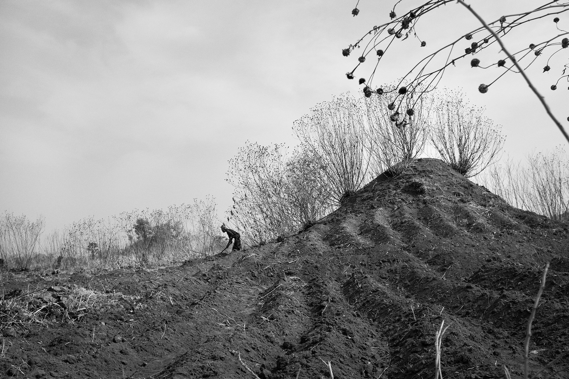 Kipushi Territory, Haut Katanga, October 2016. A woman plows her field with a hoe. Because of a lack of investment in the sector, agriculture –the main activity for 70% of the population- remains widely artisanal and of subsistence. Despite having more than 200 millions acres of arable land and two agricultural seasons, DRC remains one of the countries most affected by hunger in the world. Today, nearly 40% of children suffer from malnutrition.