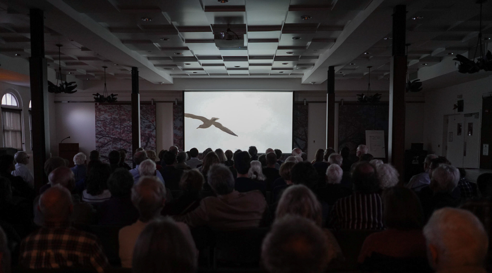 U.S. Premiere Screening on Capitol Hill in Washington, D.C.