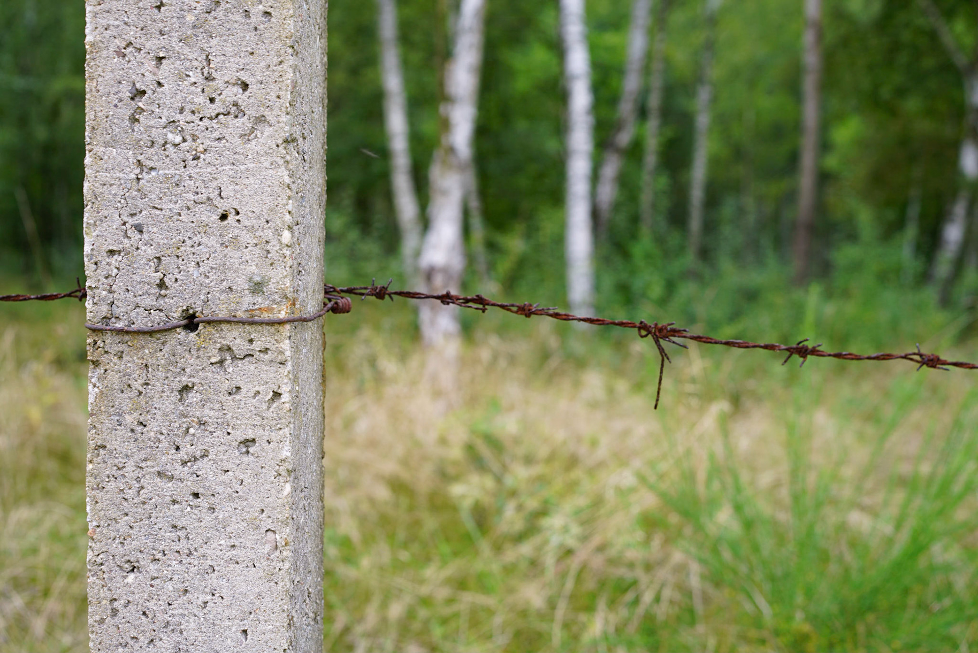 Original barbed wire fencing off Stalag VIII-A