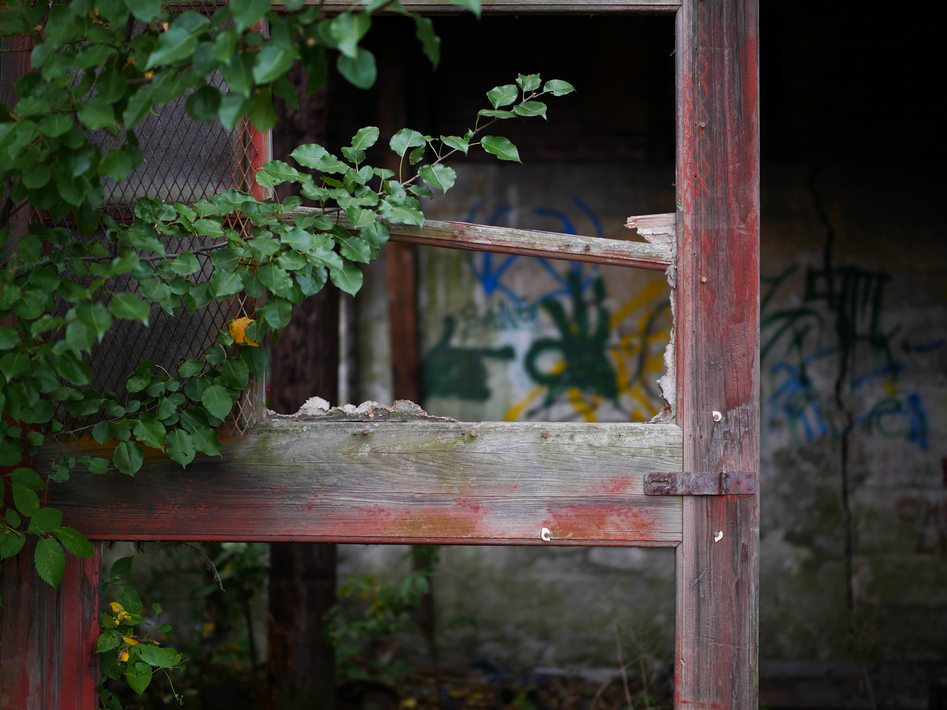 frame