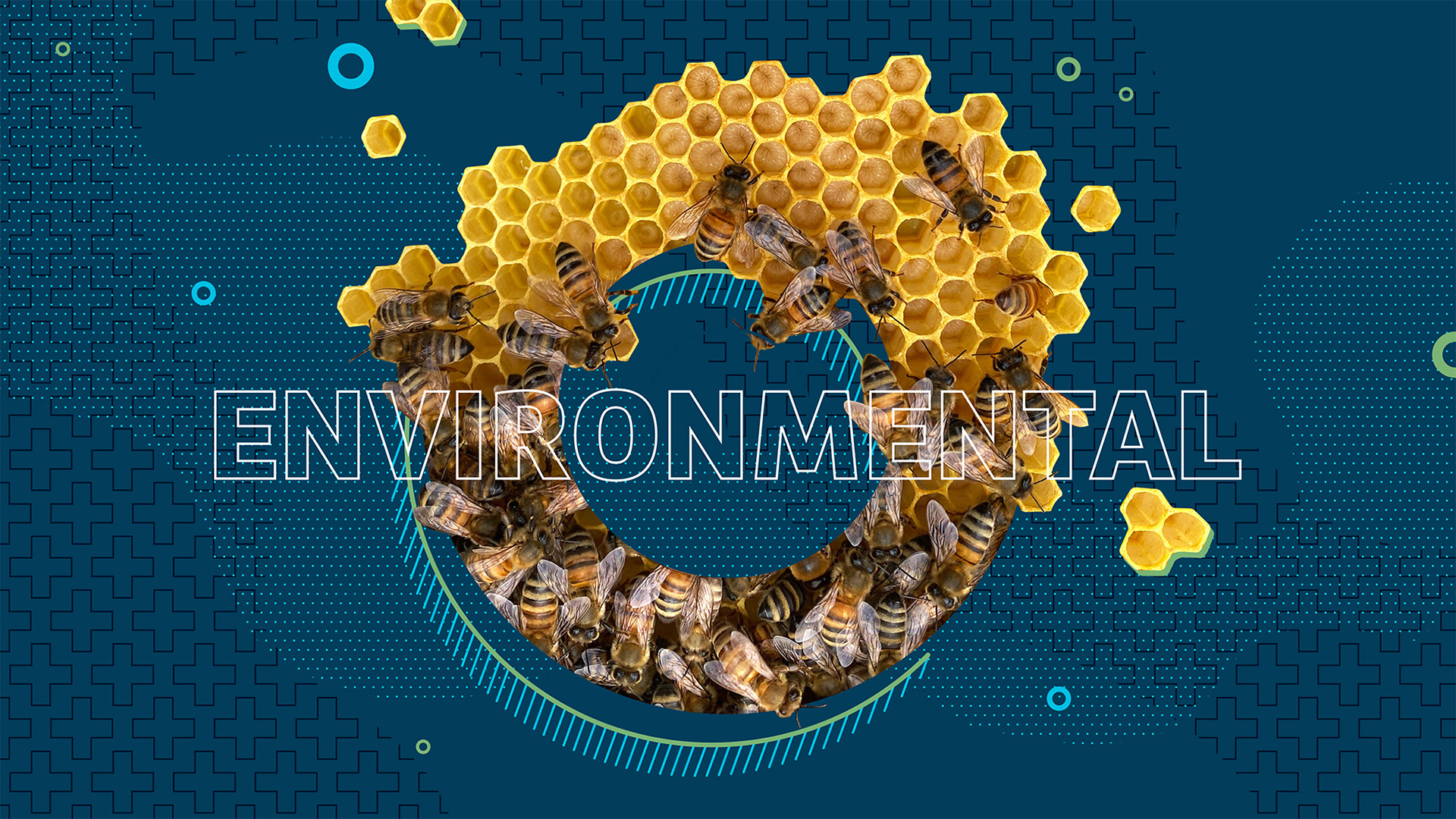 An example of a section divider